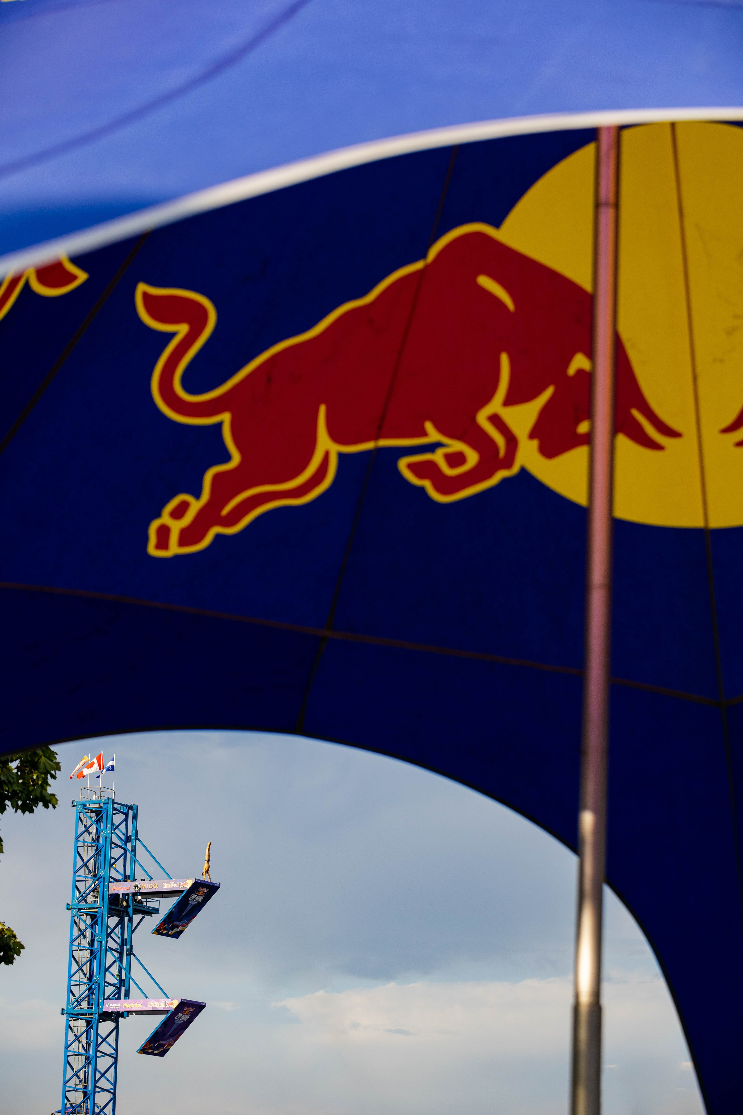 REDBULL DIVE MONTREAL