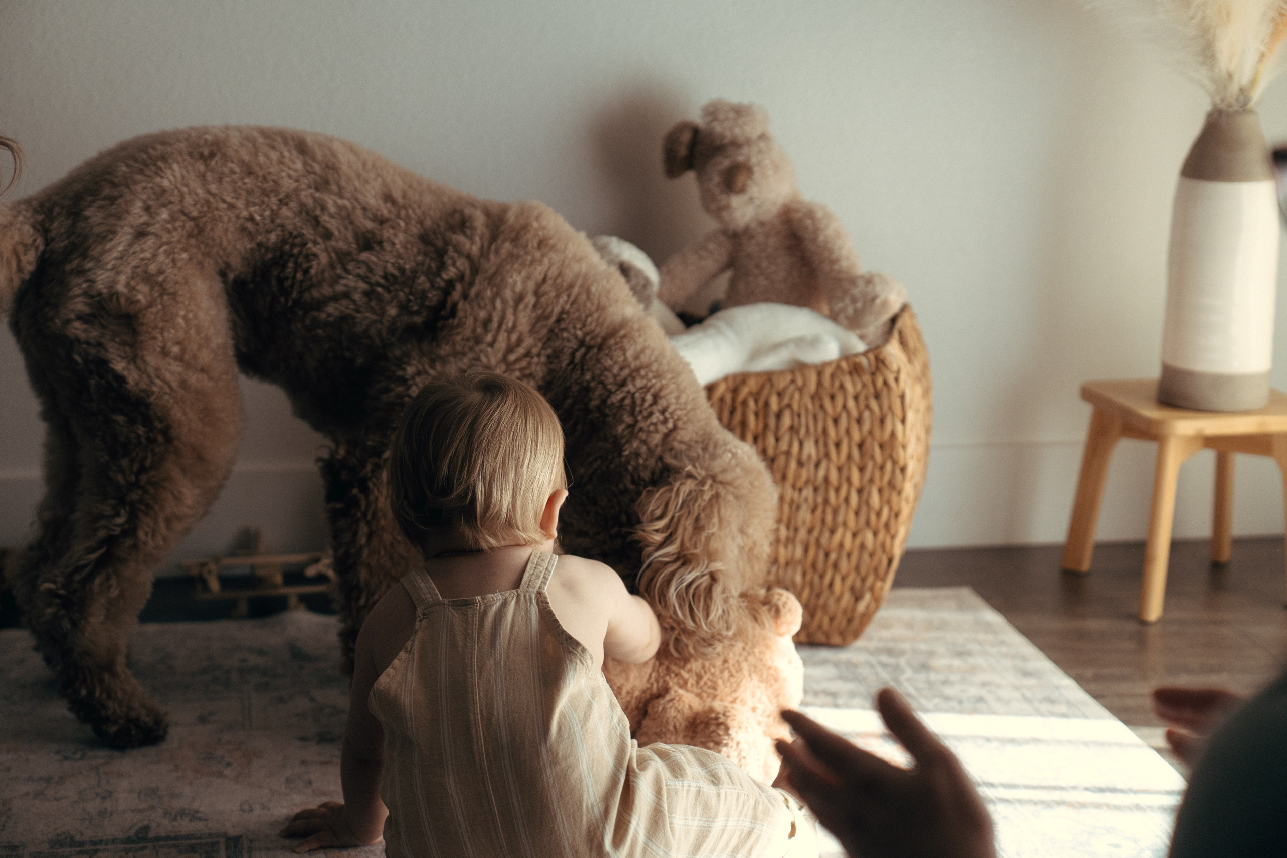 Liam Noah, Angela & Cooper. Wedding & elopement photographer Viktoriya Kravtsov. Las Vegas