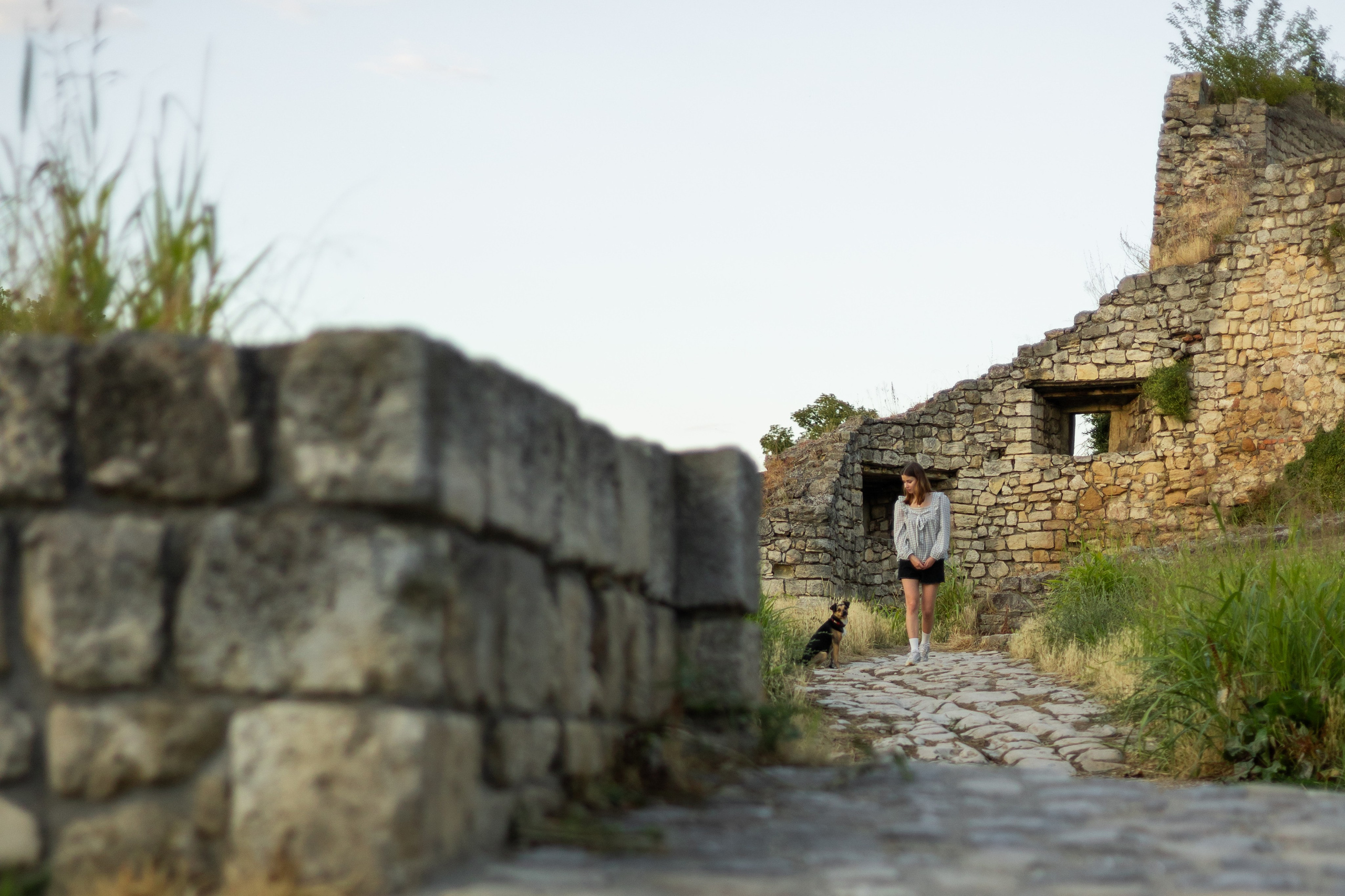 Настя, Денис и Мося. Фотограф-анималист | Белград