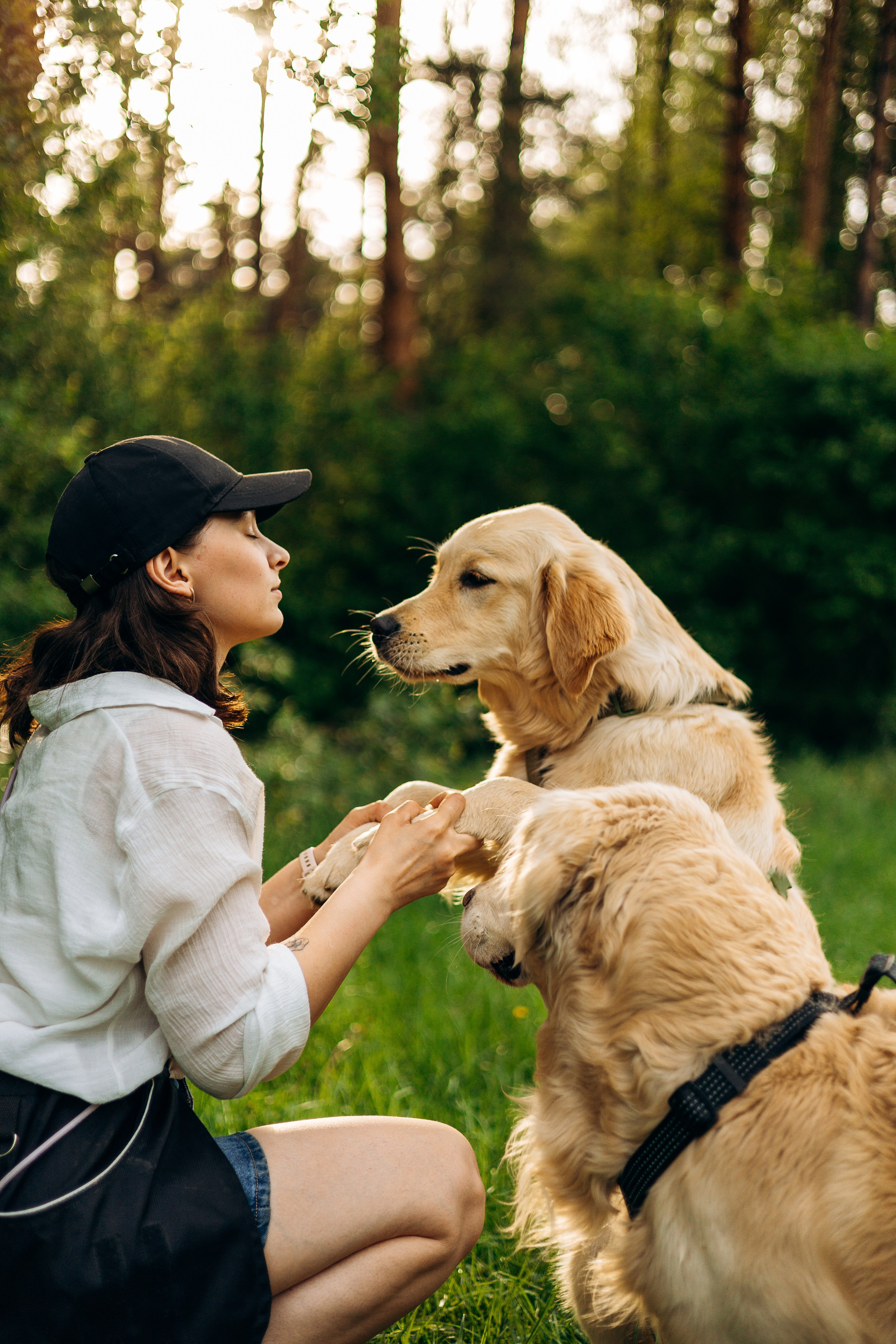 Настя, Арчи, Арагон. Фотограф-анималист | Белград