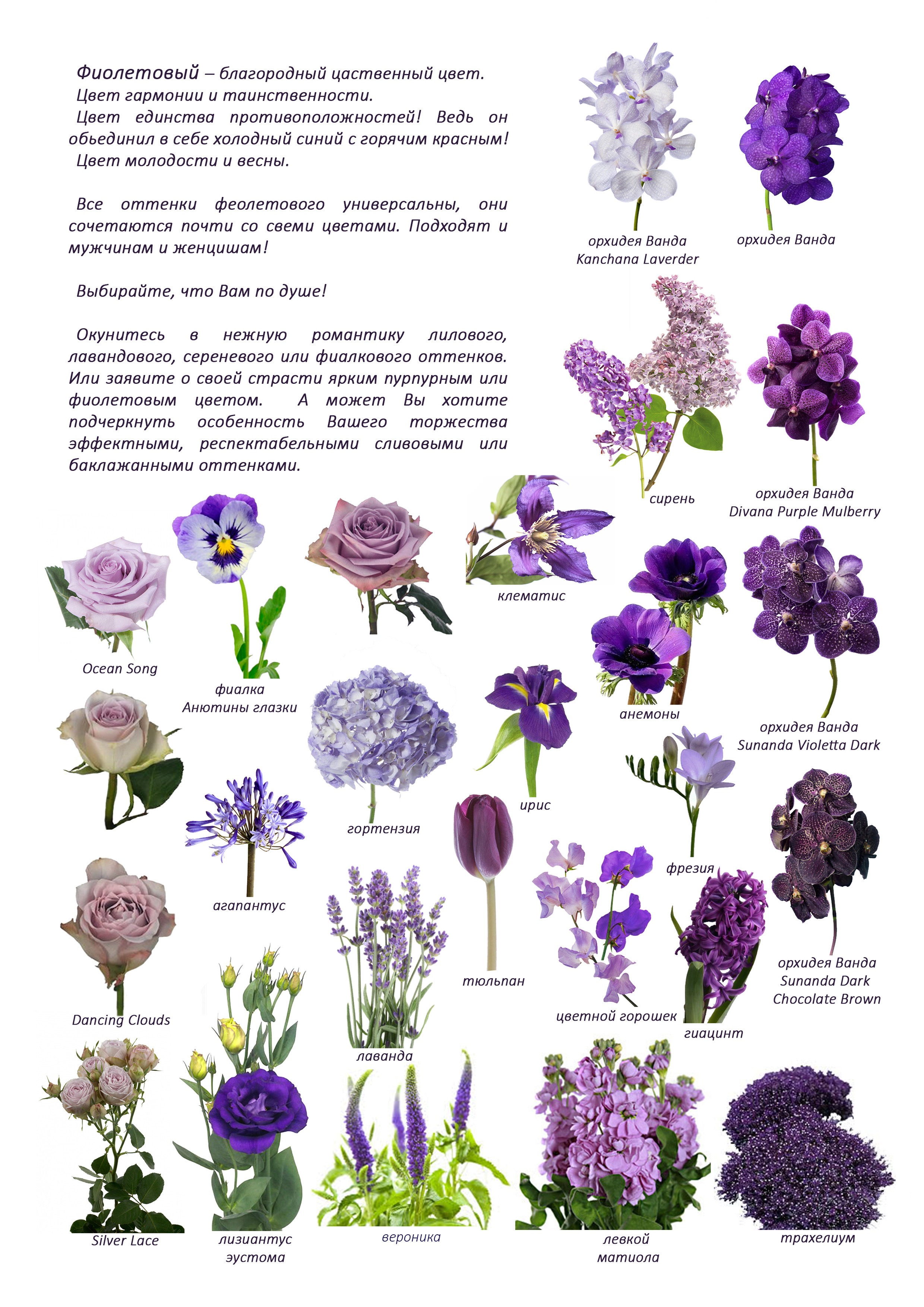 Ziedi. Event design, decoration, floristry, gift, Irina Novika, Riga, Latvia