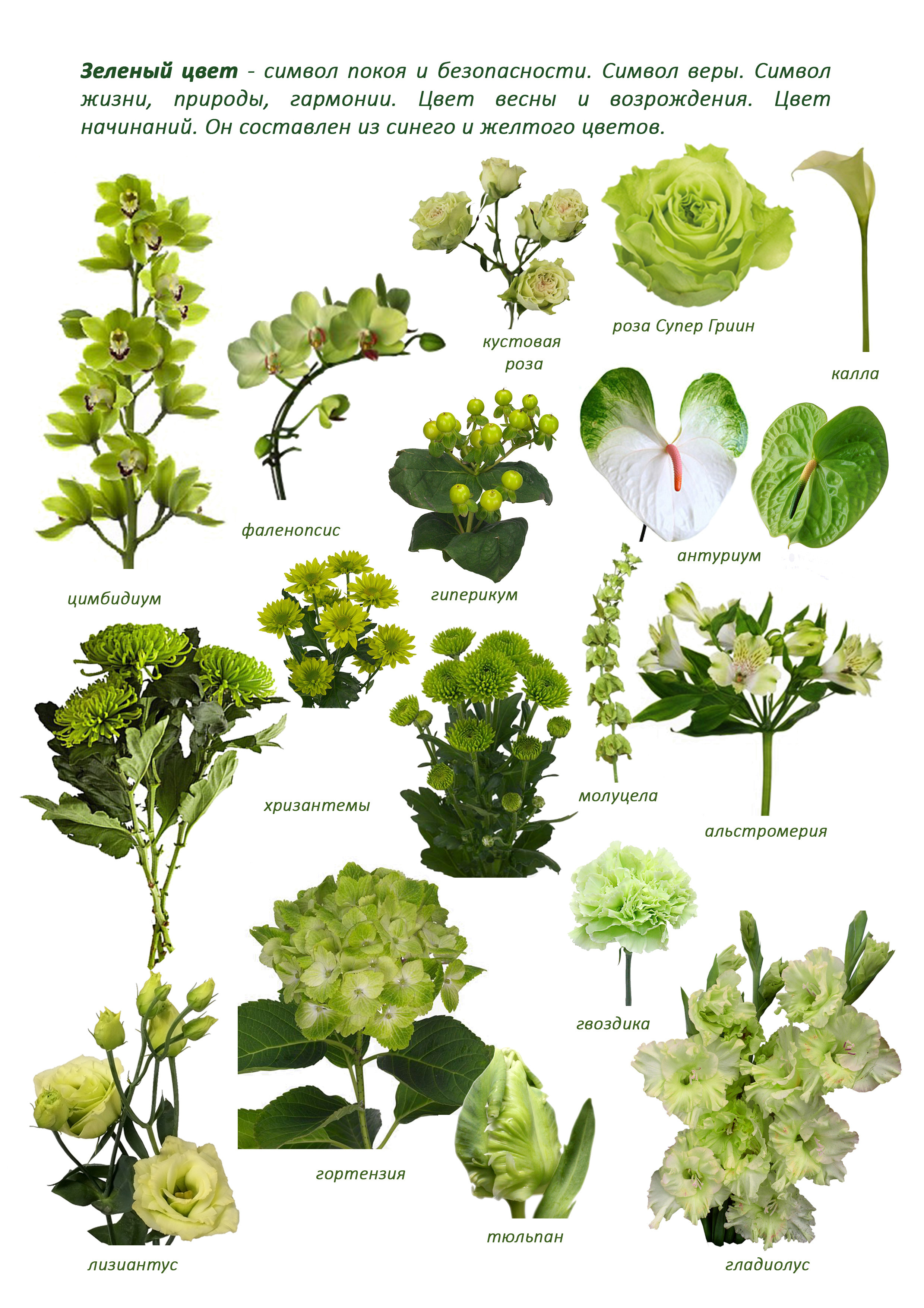 Ziedi. Event design, decoration, floristry, gift, Irina Novika, Riga, Latvia