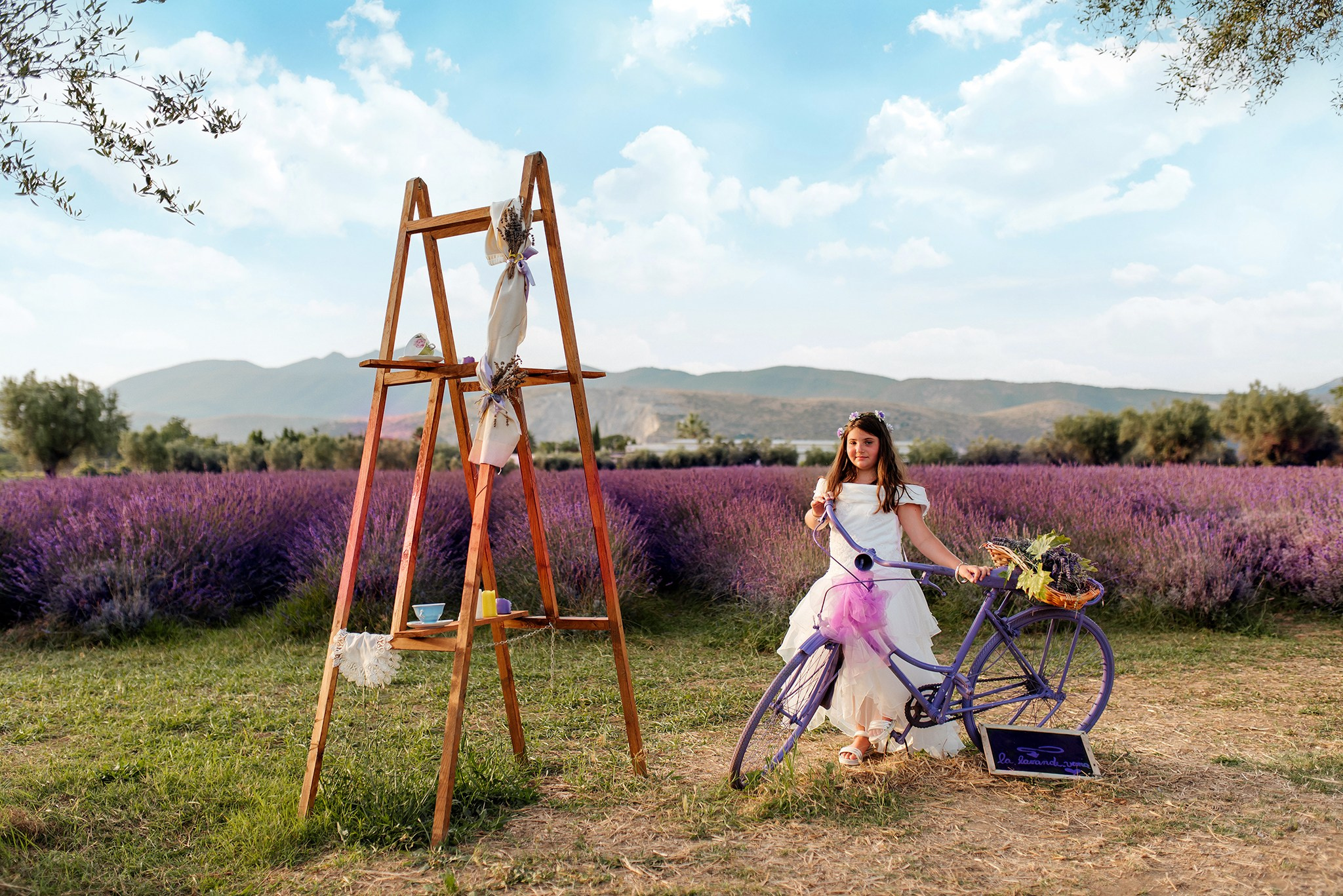Campo di Lavanda. Fotografo di famiglia