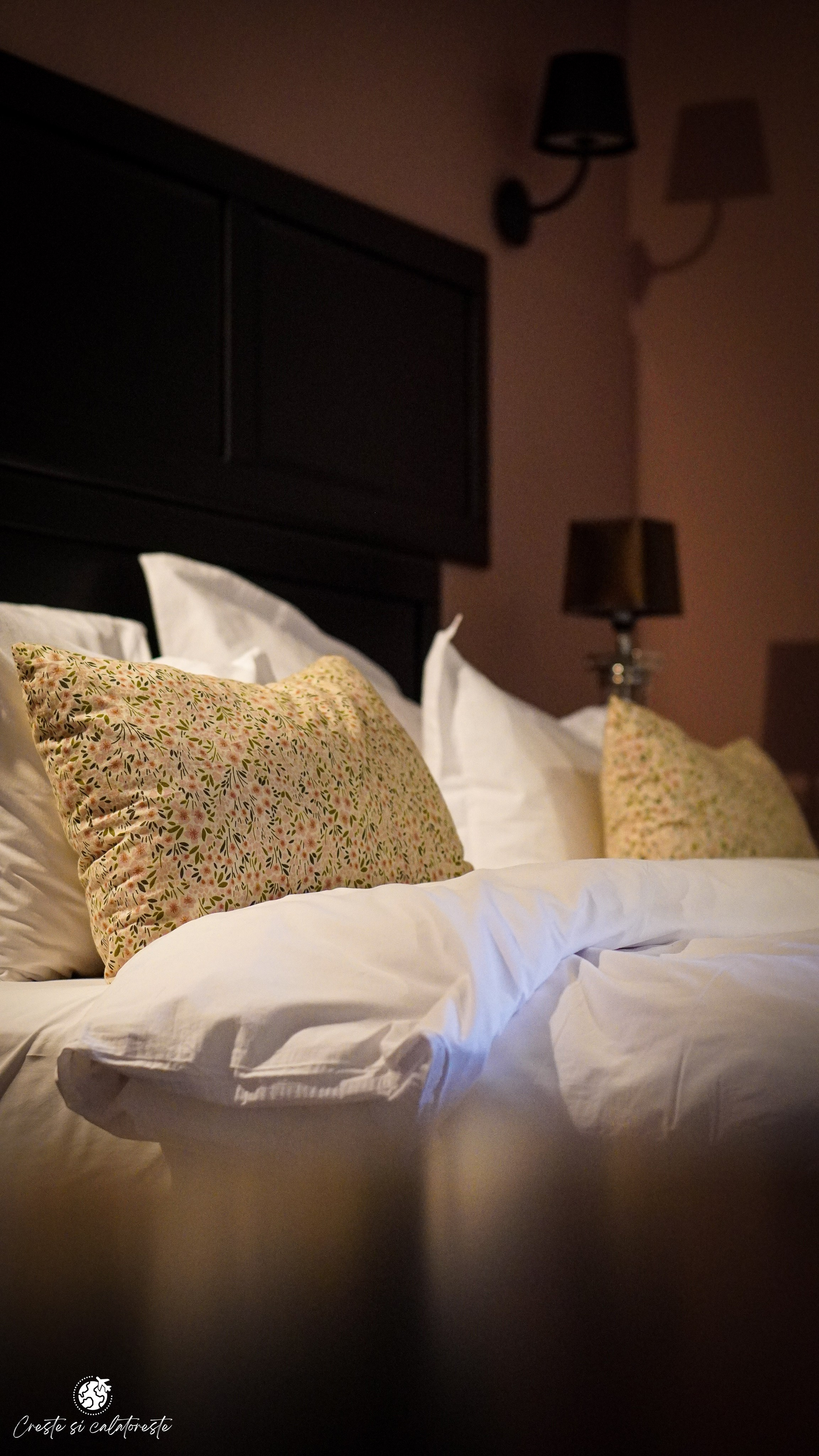 Bransilvania. Creste si calatoreste