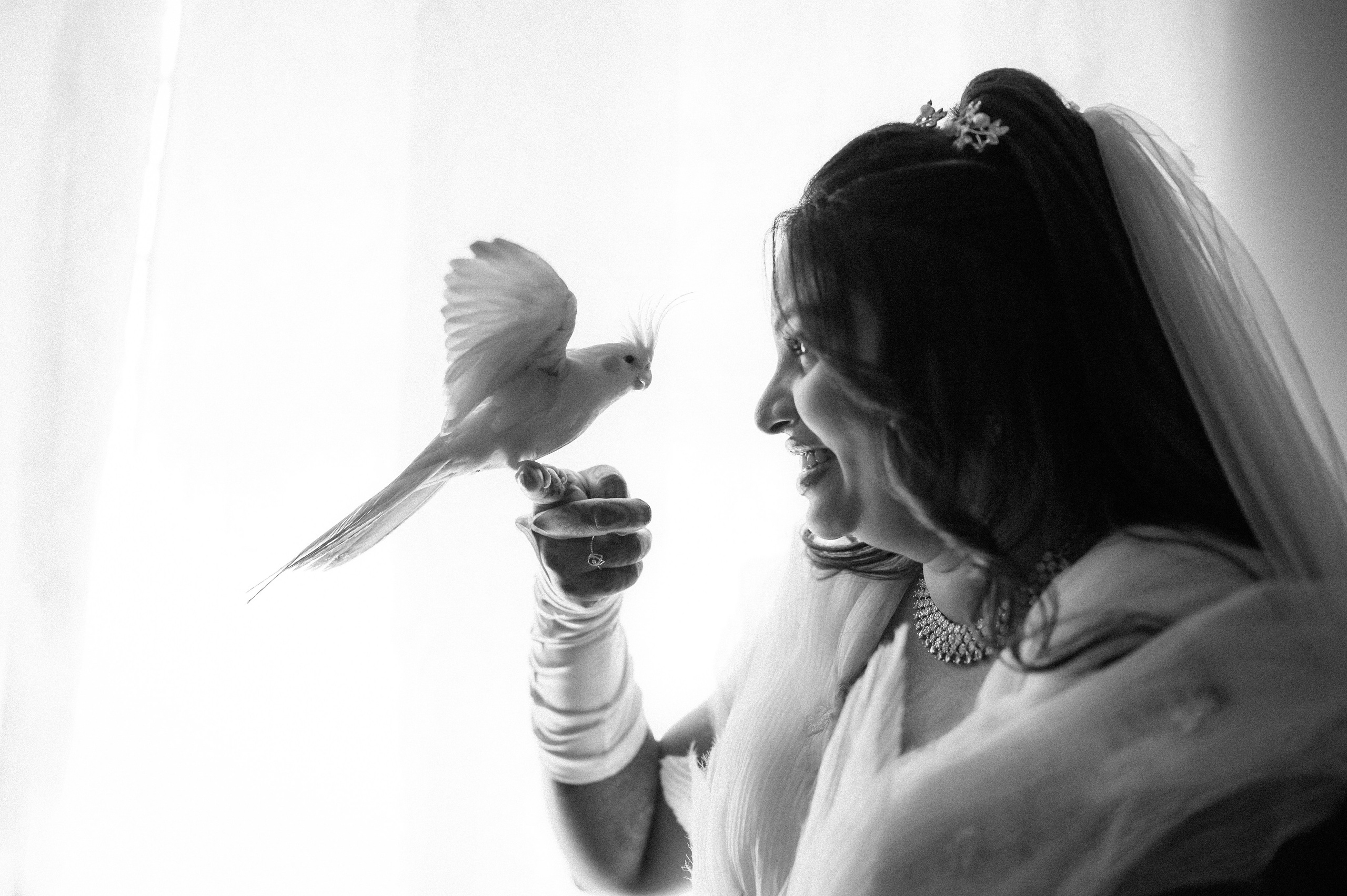 WEDDINGS. Wedding photographer Stalen Robert