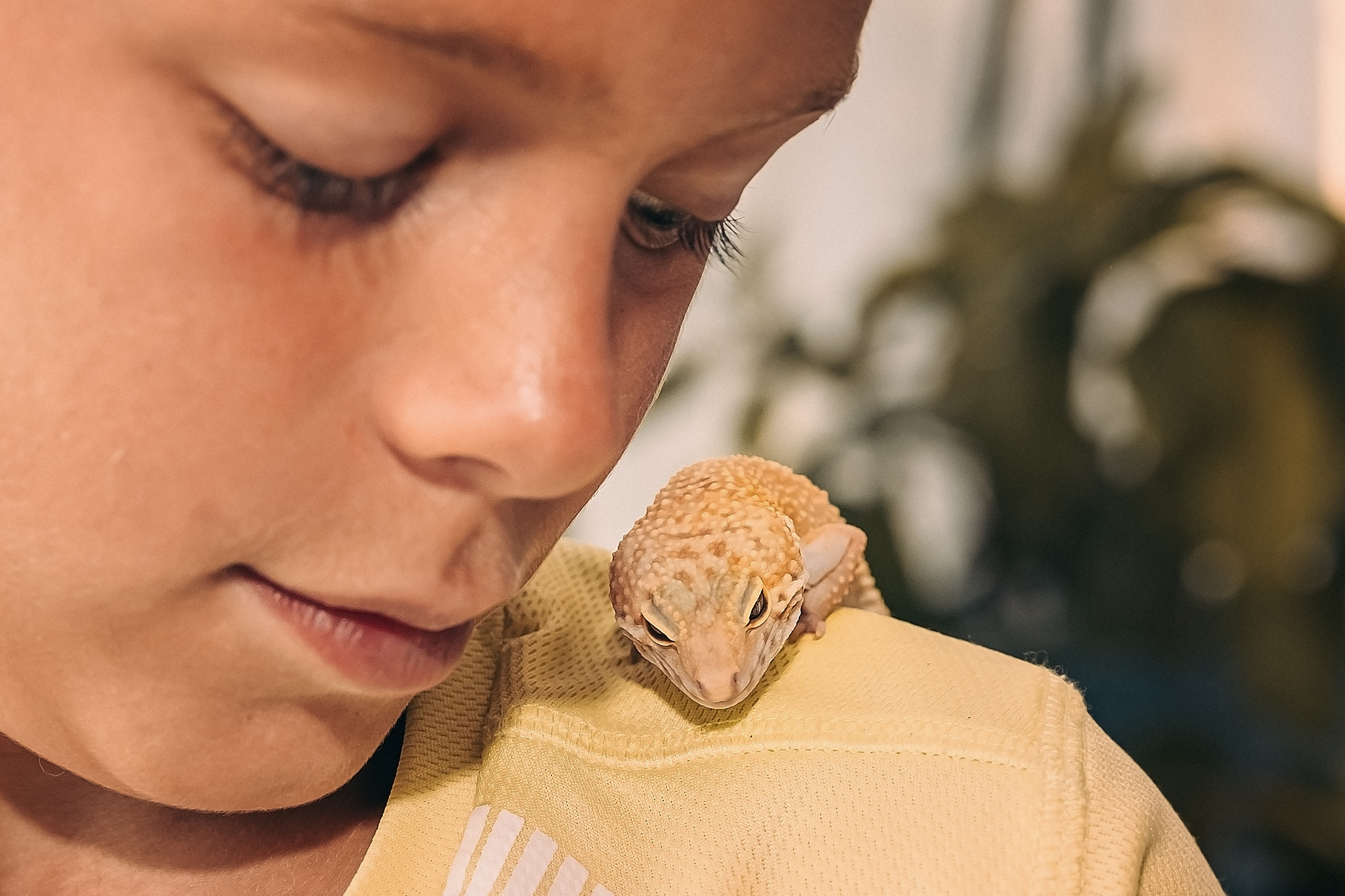 Рідний дім. Валерія Сичова. Сімейний та репортажний фотограф в Португаліі