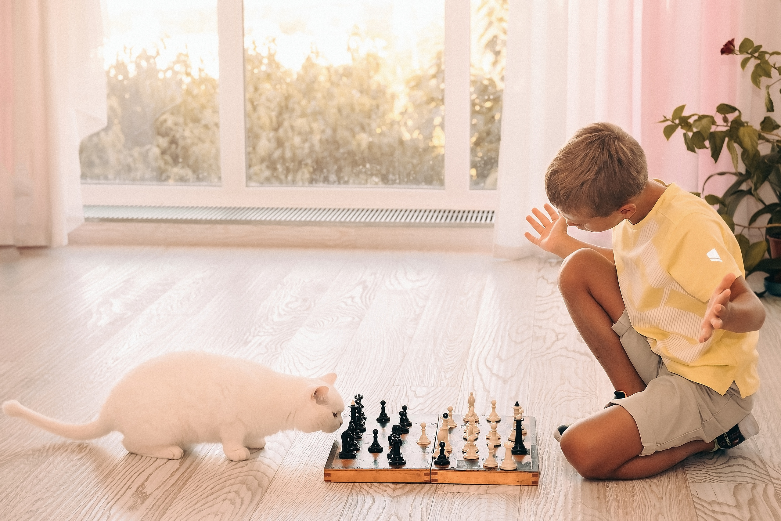 Рідний дім. Валерія Сичова. Сімейний та репортажний фотограф в Португаліі