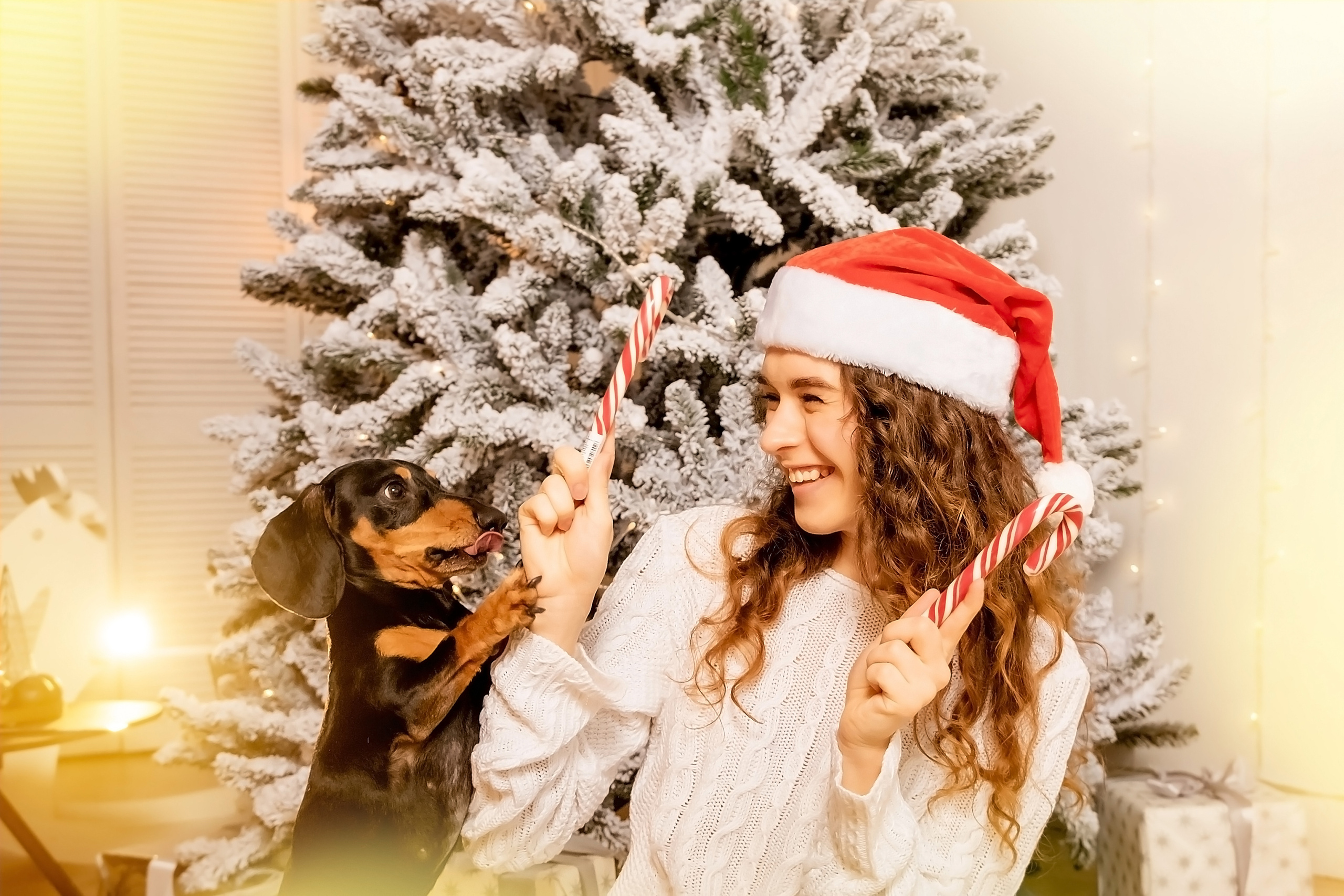 Каріна та цуценя. Валерія Сичова. Сімейний та репортажний фотограф в Португаліі