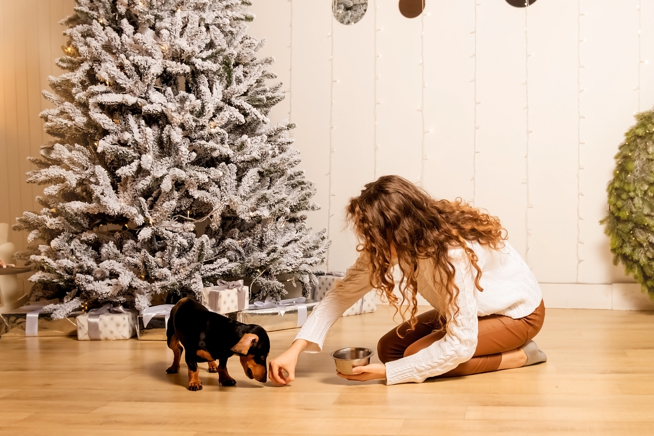 Каріна та цуценя. Валерія Сичова. Сімейний та репортажний фотограф в Португаліі