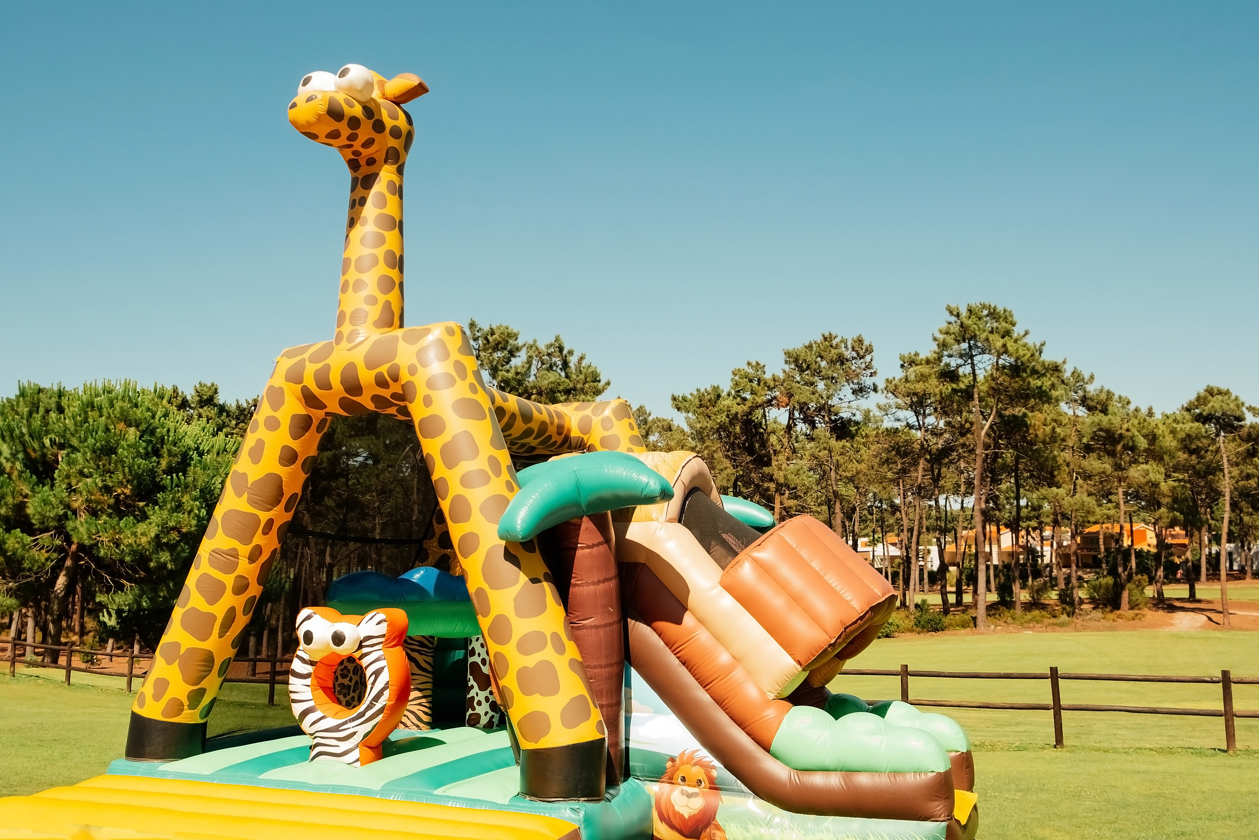 День народження Baby Shark. Валерія Сичова. Сімейний та репортажний фотограф в Португаліі