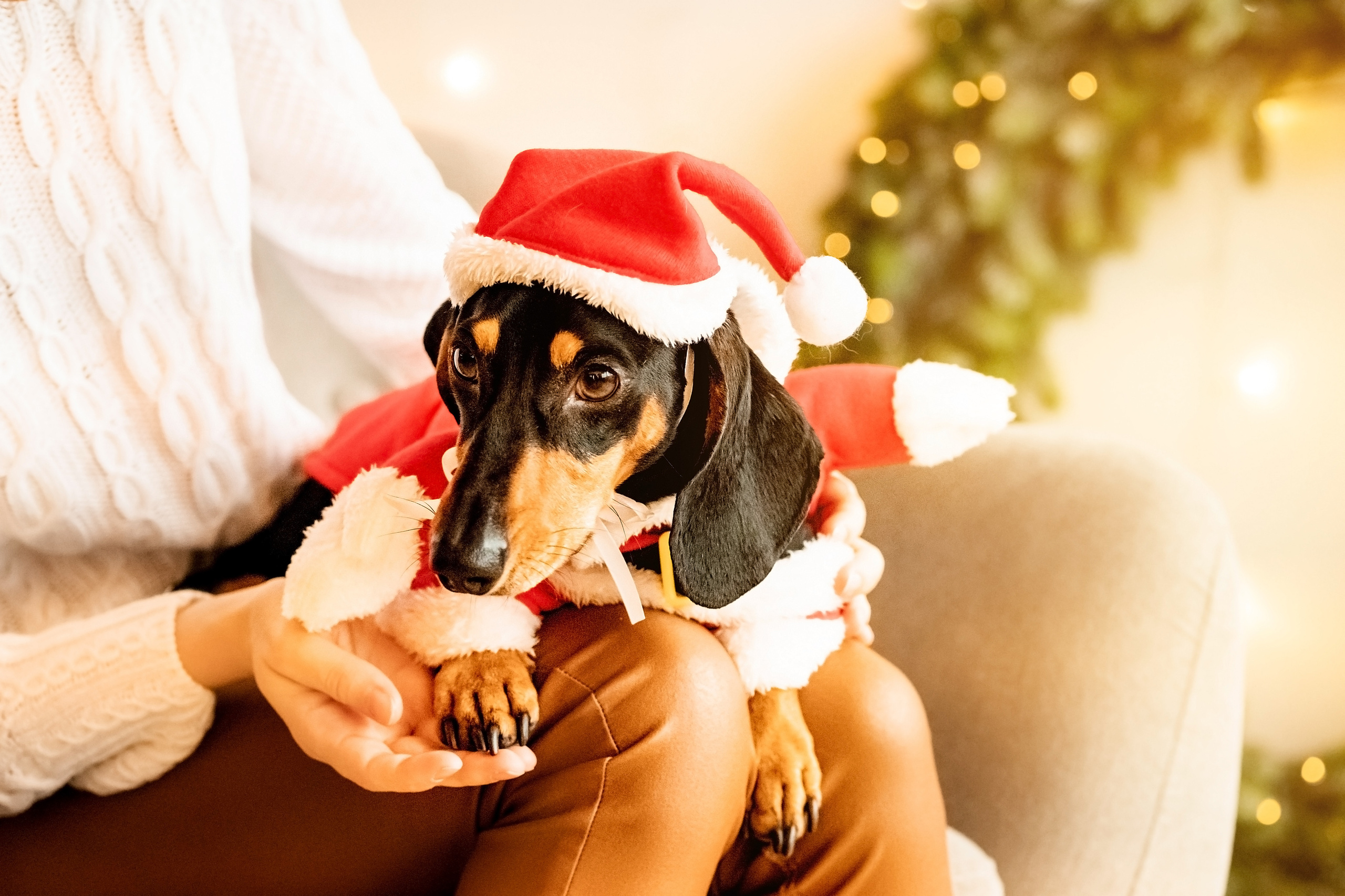 Каріна та цуценя. Валерія Сичова. Сімейний та репортажний фотограф в Португаліі