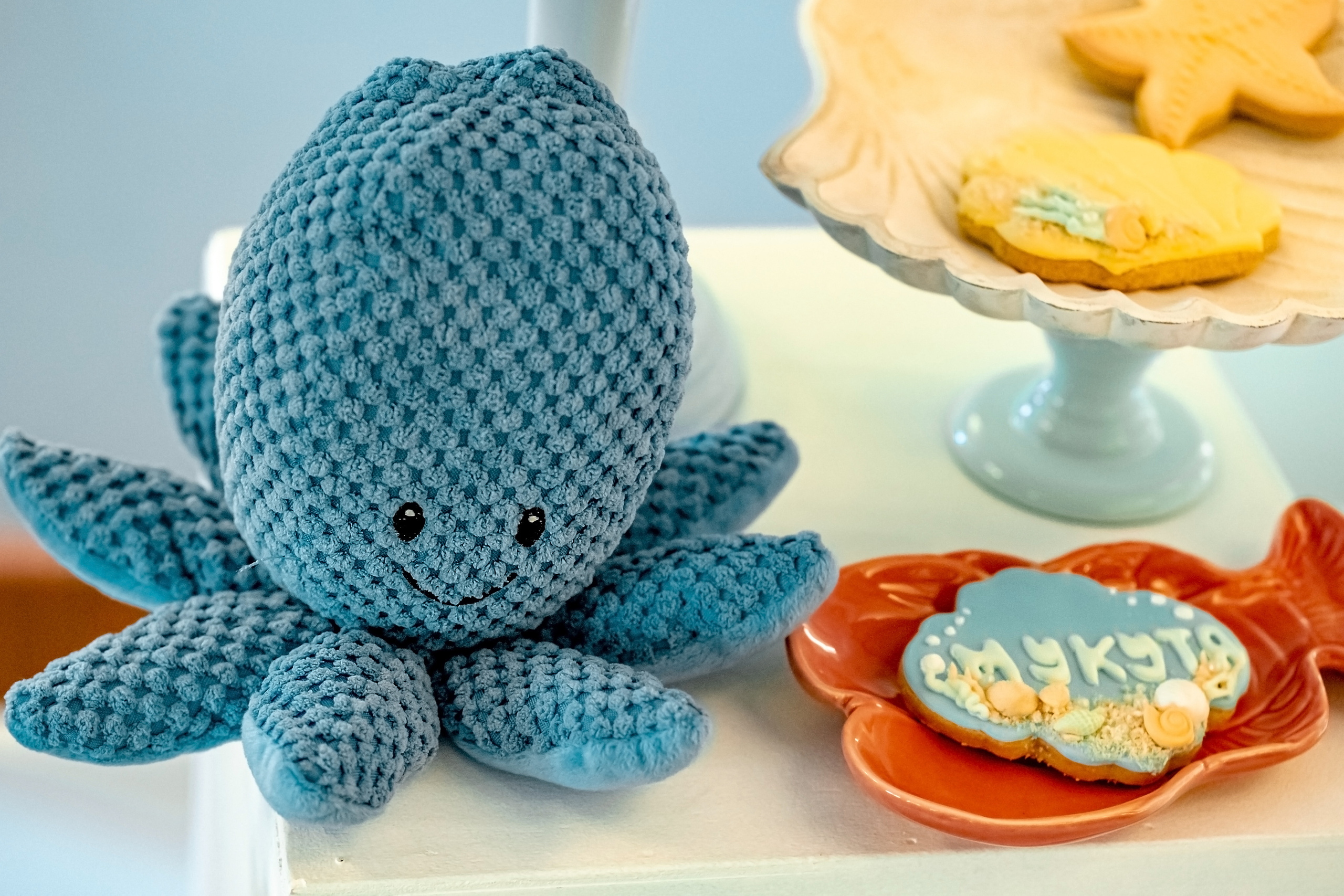 День народження Baby Shark. Валерія Сичова. Сімейний та репортажний фотограф в Португаліі