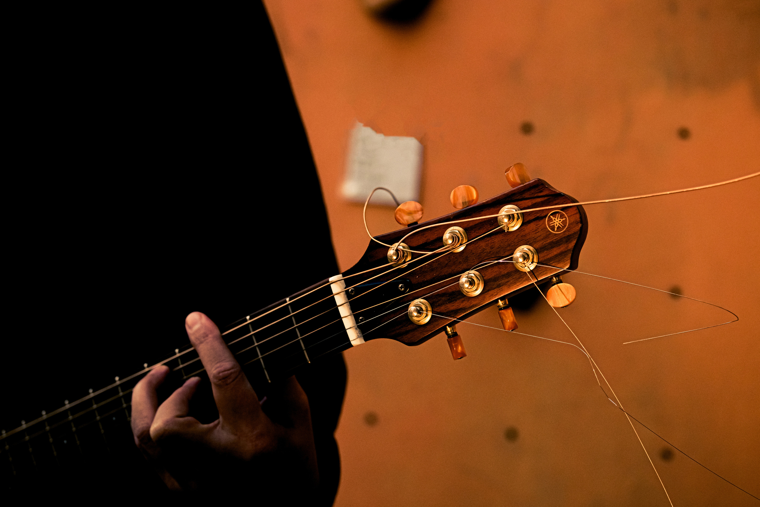 Концерт-онлайн під час карантину. RODIN N - RADIONIKA. Валерія Сичова. Сімейний та репортажний фотограф в Португаліі