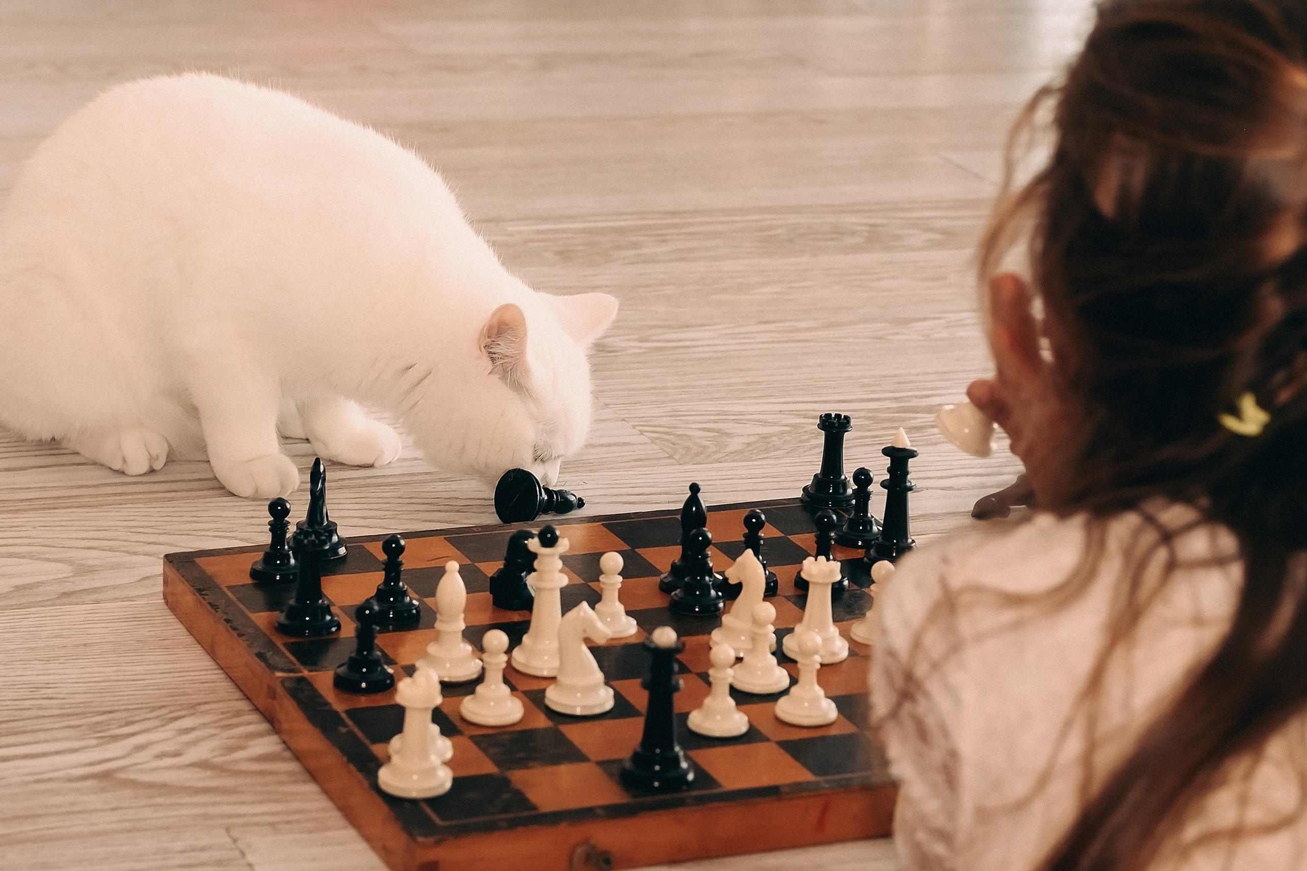 Рідний дім. Валерія Сичова. Сімейний та репортажний фотограф в Португаліі