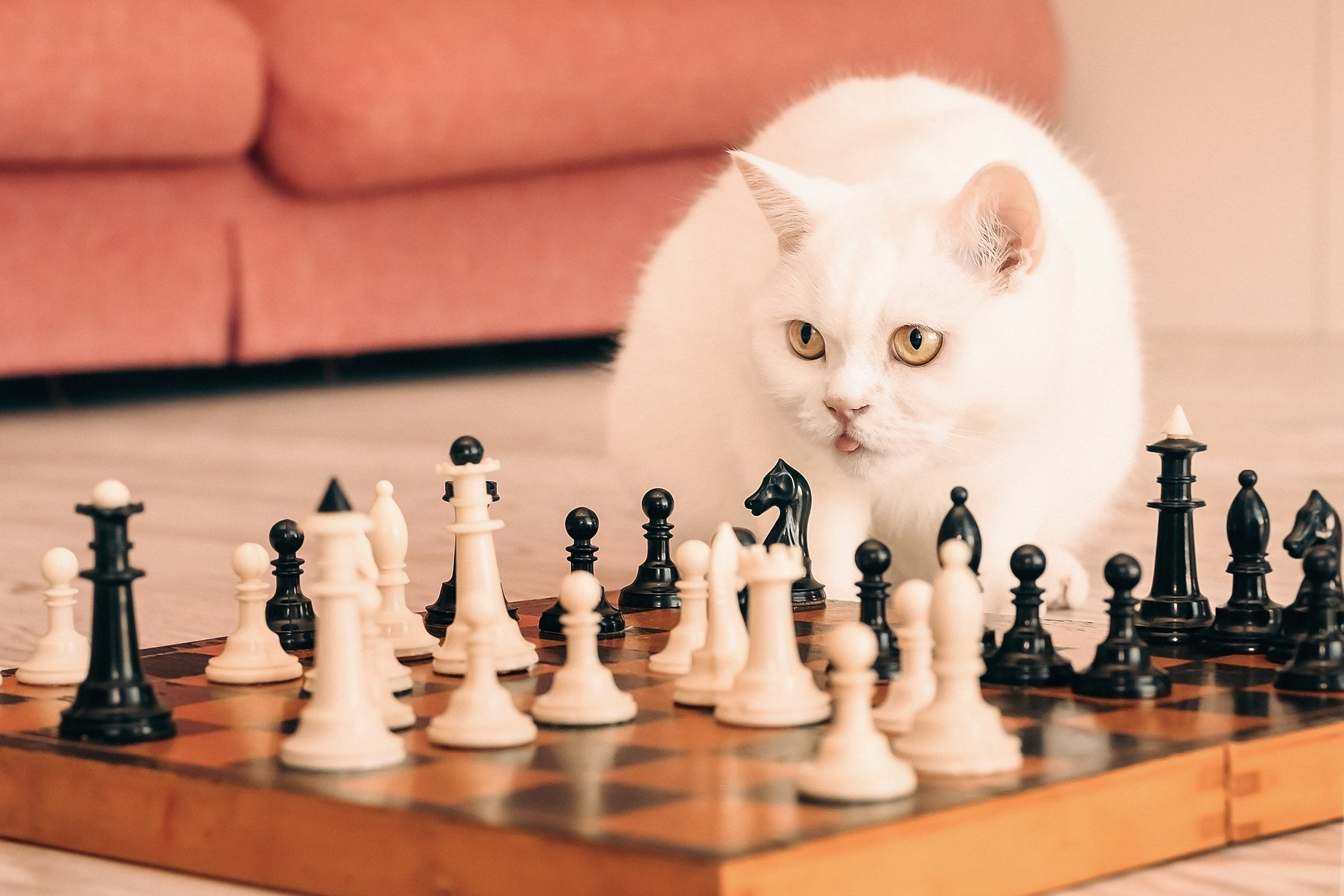 Рідний дім. Валерія Сичова. Сімейний та репортажний фотограф в Португаліі