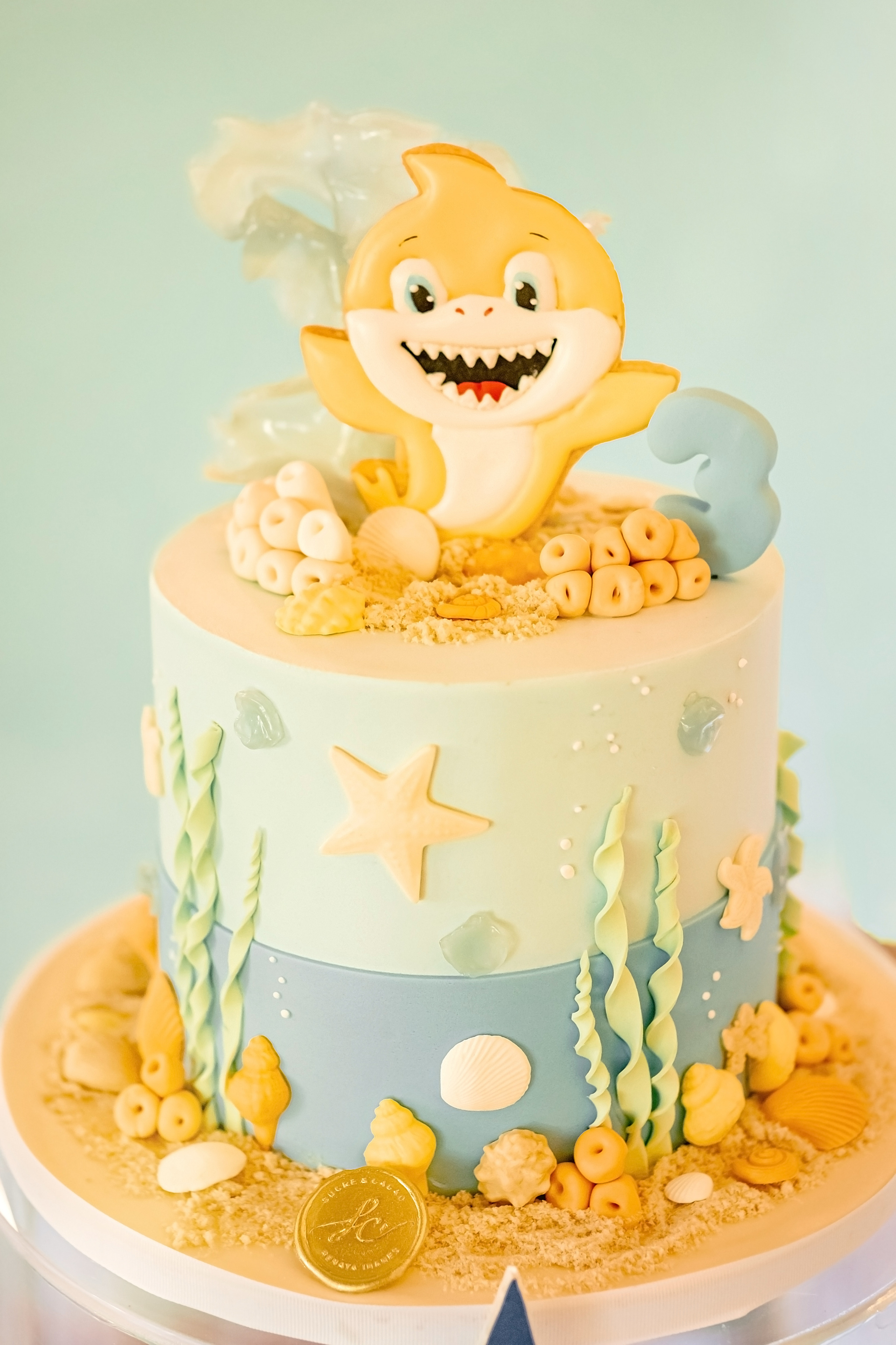 День народження Baby Shark. Валерія Сичова. Сімейний та репортажний фотограф в Португаліі