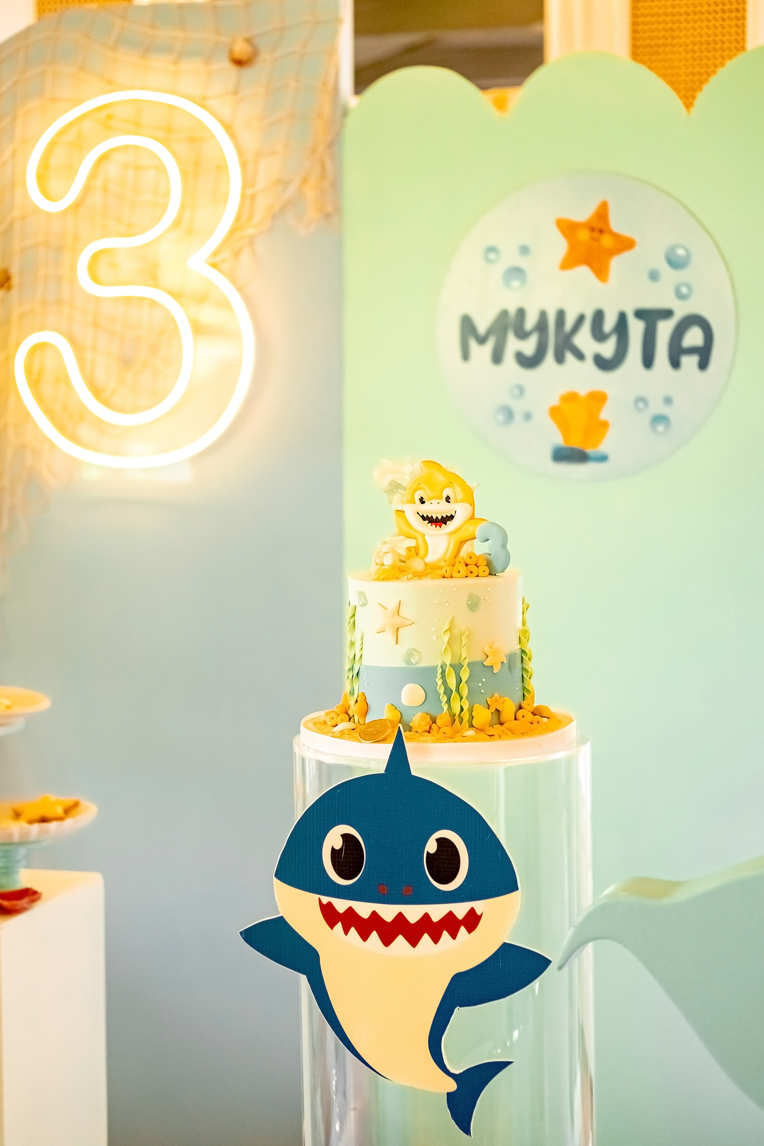 День народження Baby Shark. Валерія Сичова. Сімейний та репортажний фотограф в Португаліі