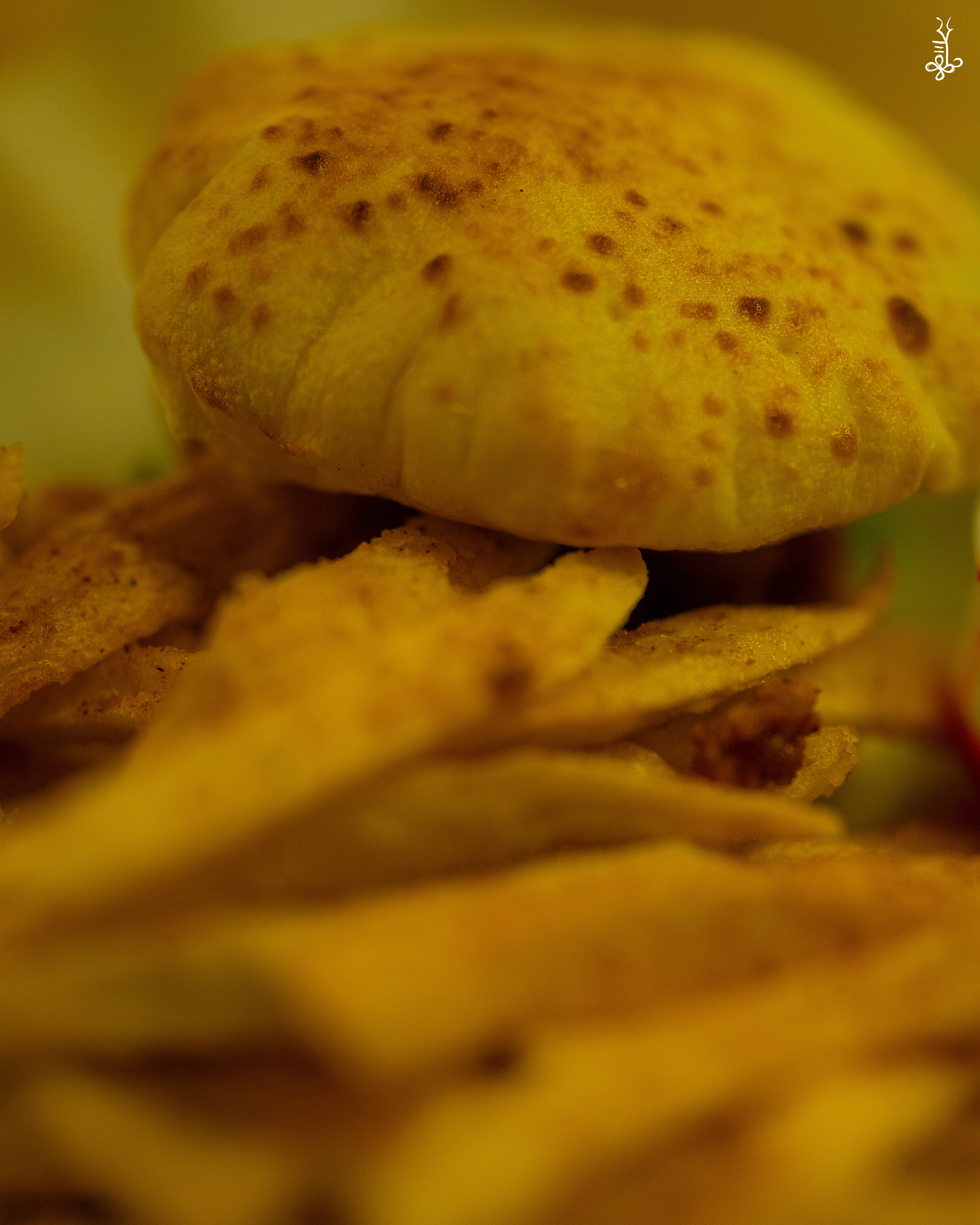 Chicken Sandwitch [Extra Crispy] With Masala Fries ~ Shani's Secret Chicken - Indianapolis, IN