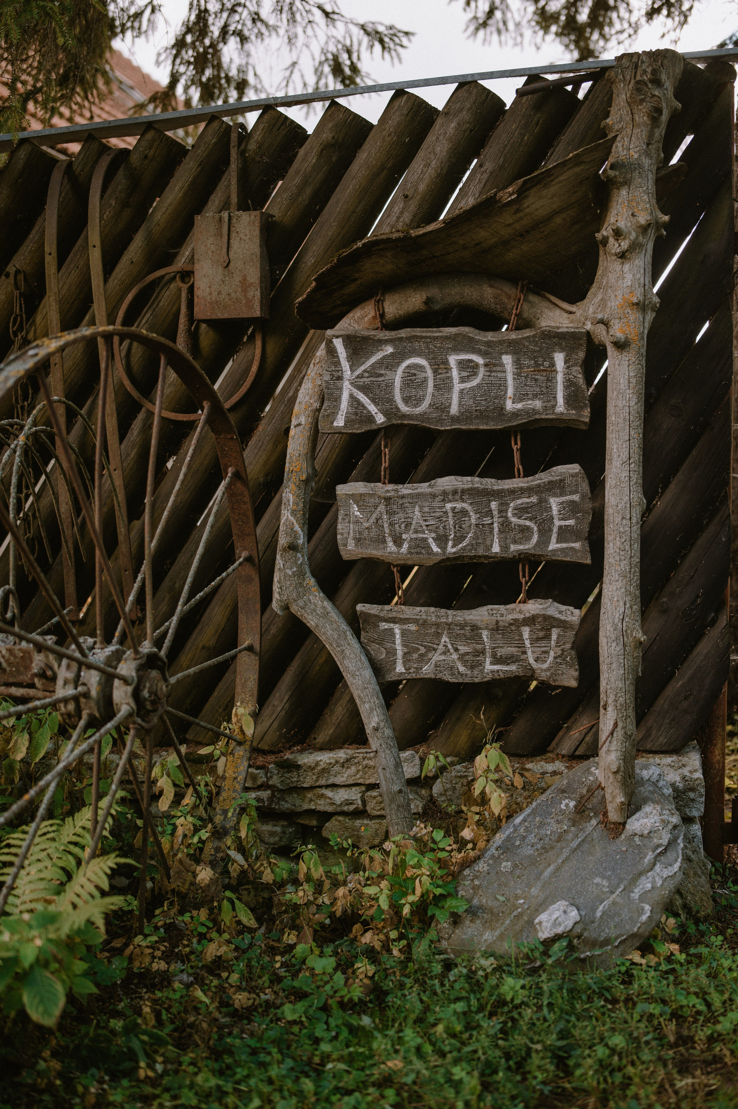 Свадьба. Фотограф Таллинн — свадьба |семья | lovestory