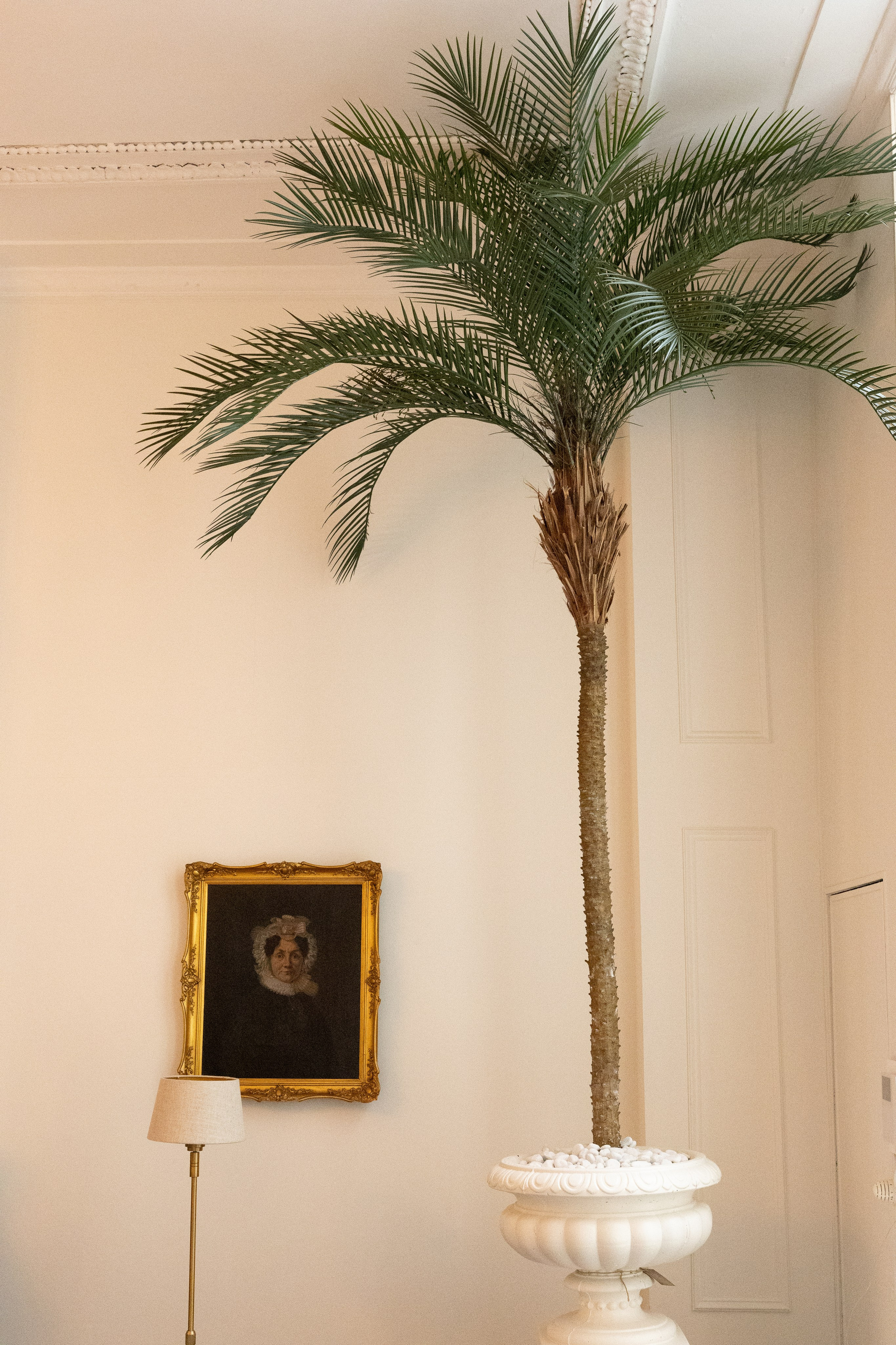 Photostudio in Amsterdam. Sofiya Tarabarova