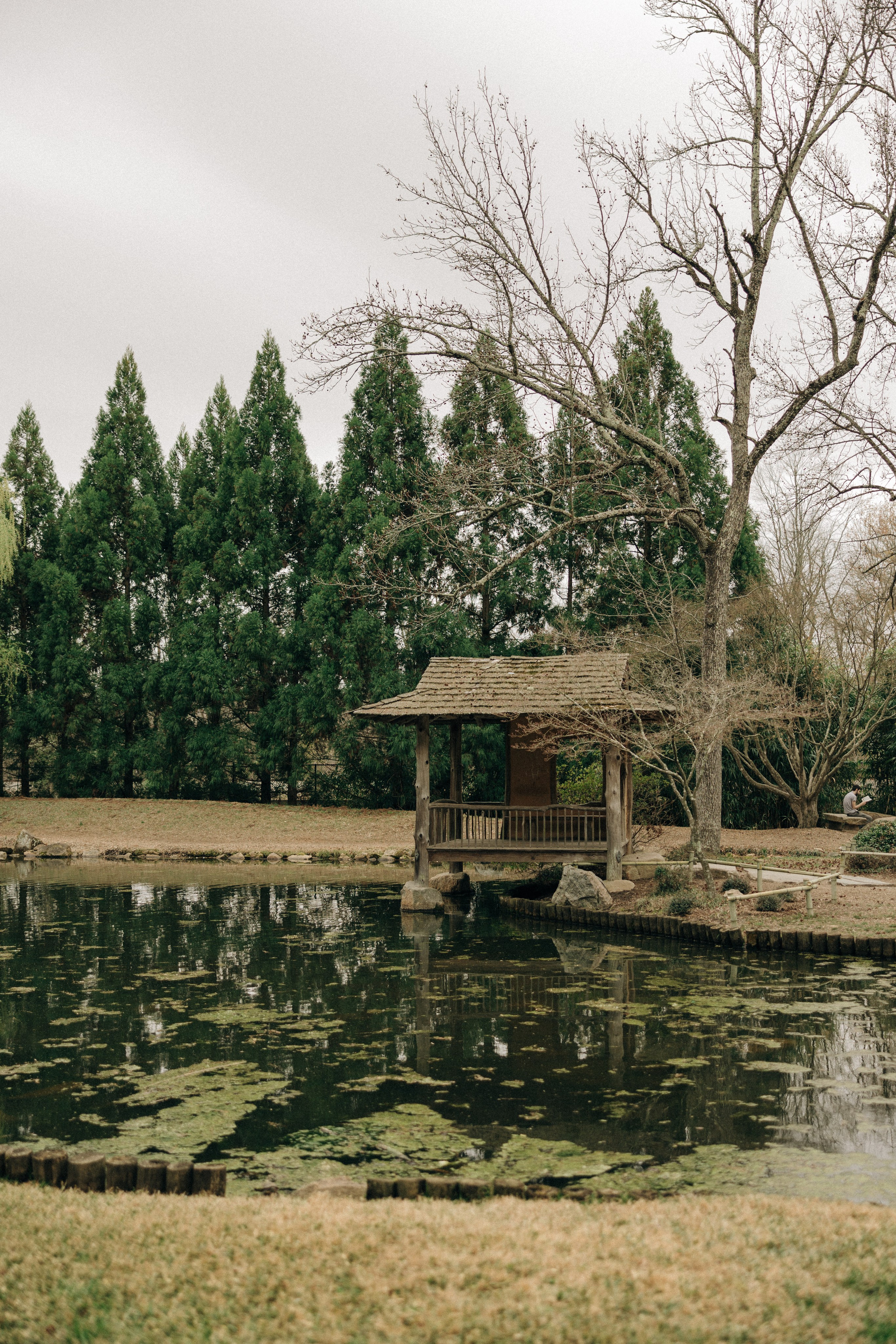 Tassia&Lilian Elopement. Sara Eulalia | Virginia Photographer