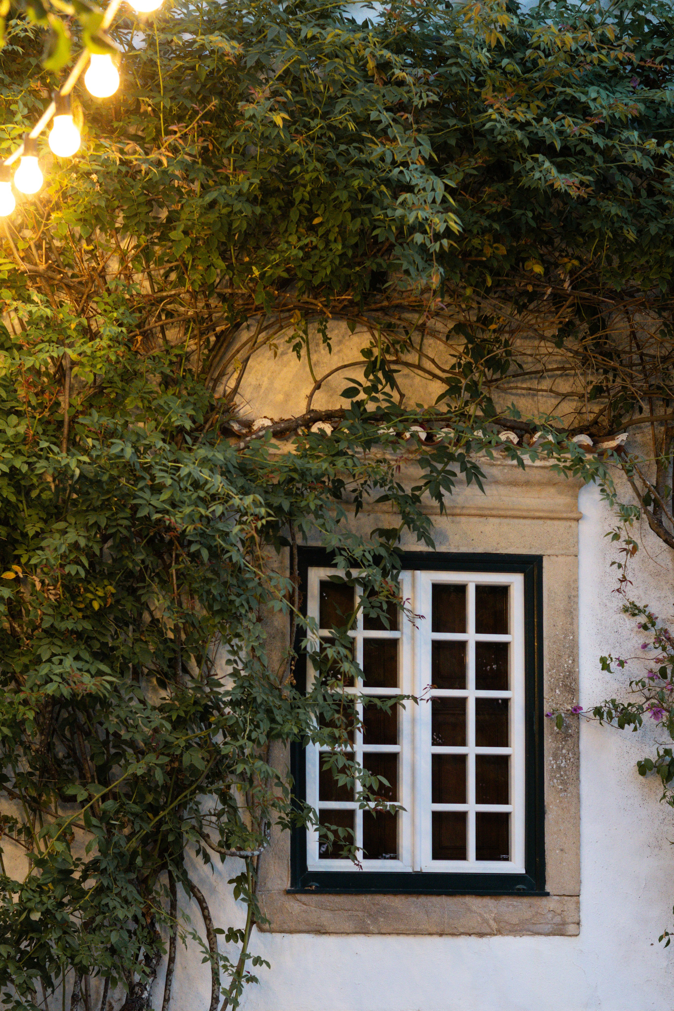 Fotografia de Casamentos – Paulo Marques Photography. Paulo Marques Photography