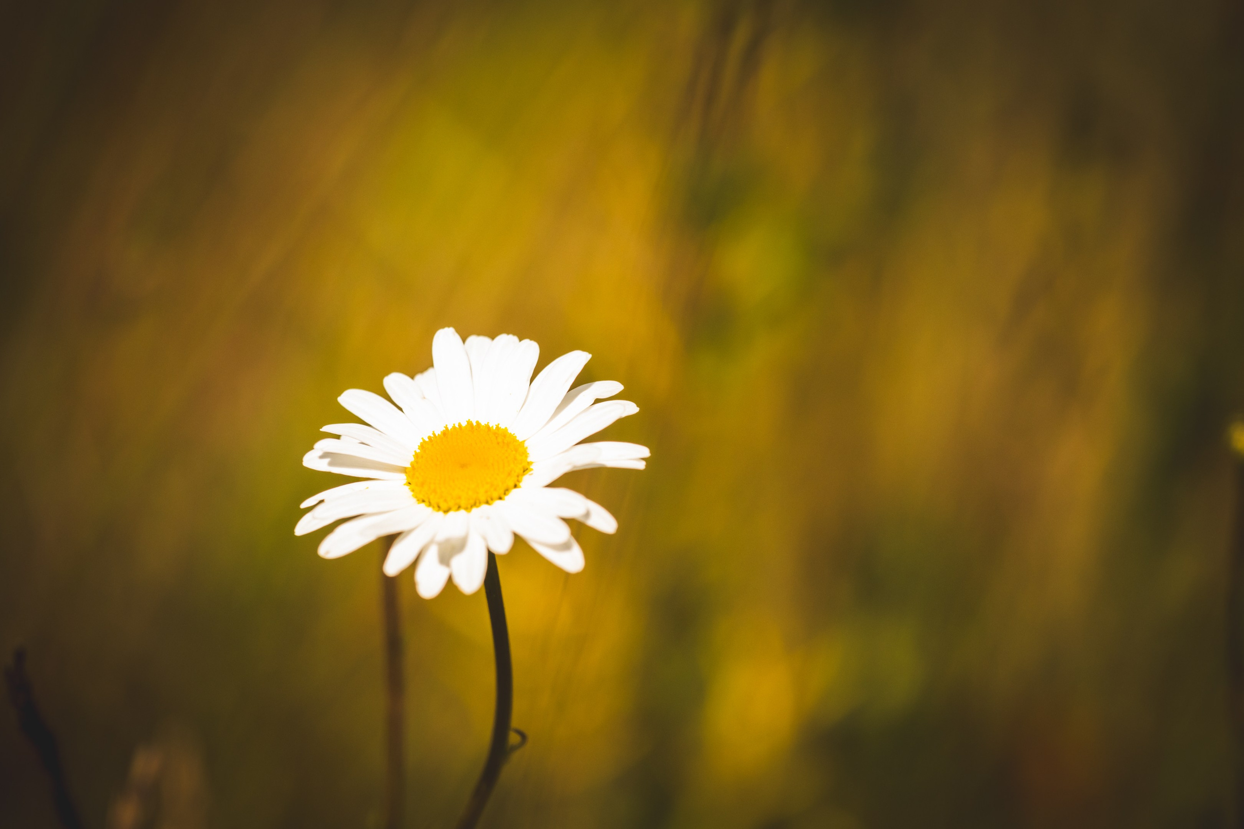 Jalgrattasõit ümbruskonnas. Nebula 25 — Fotod teie hingele