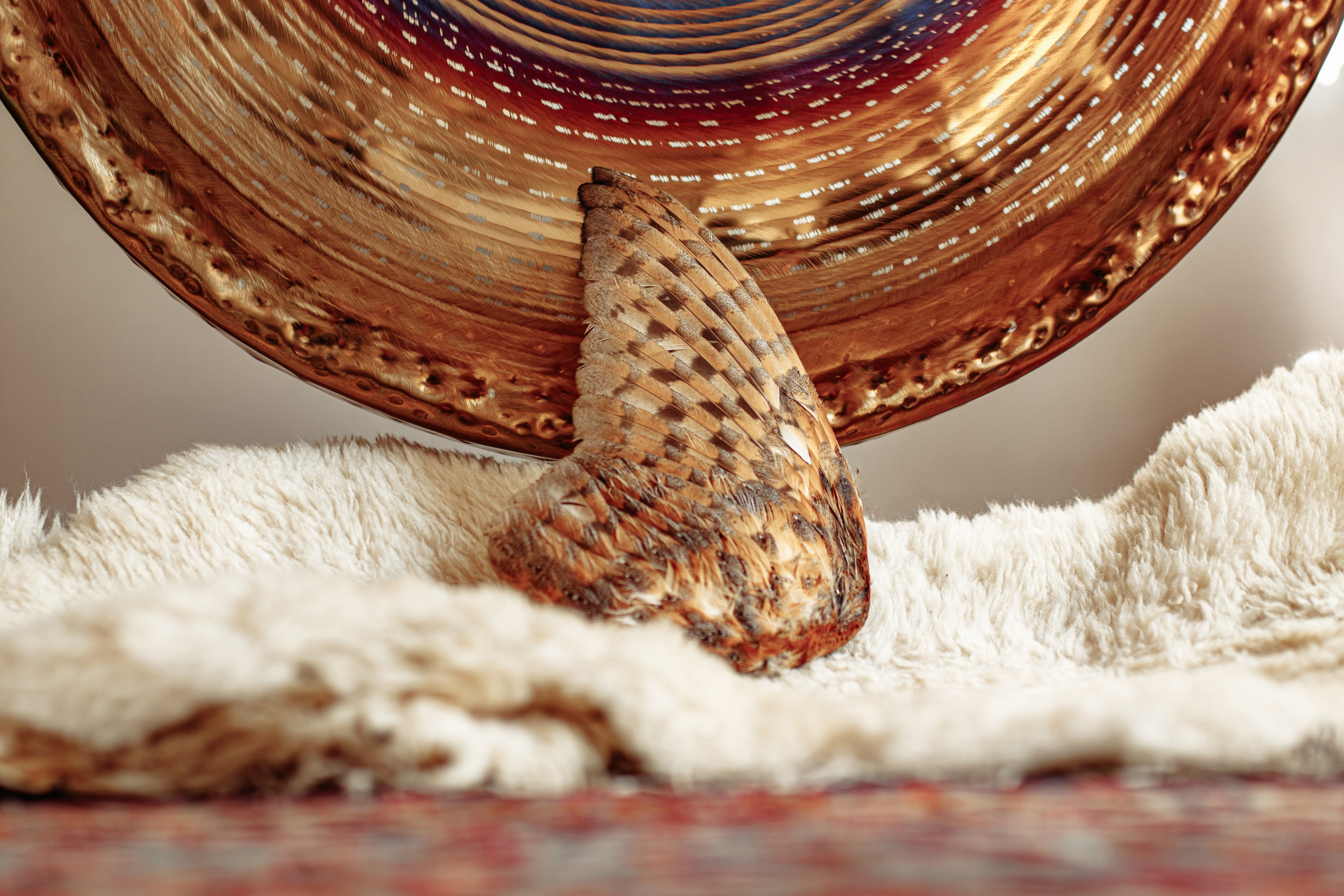 Роман. Съёмка для энергопрактика