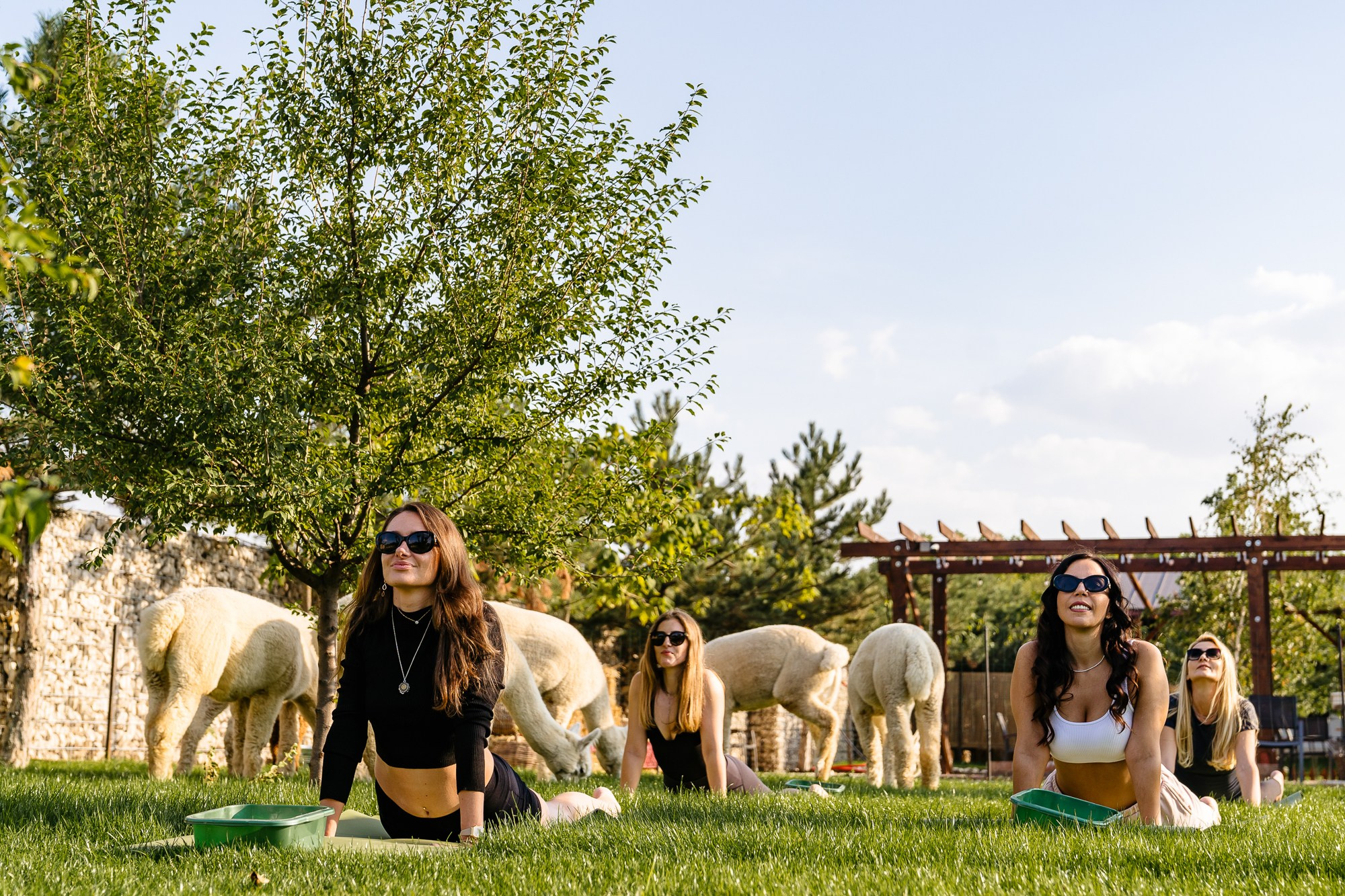 Openings & Brand Activation | Fotografie PR. Fotograf Corporate Business