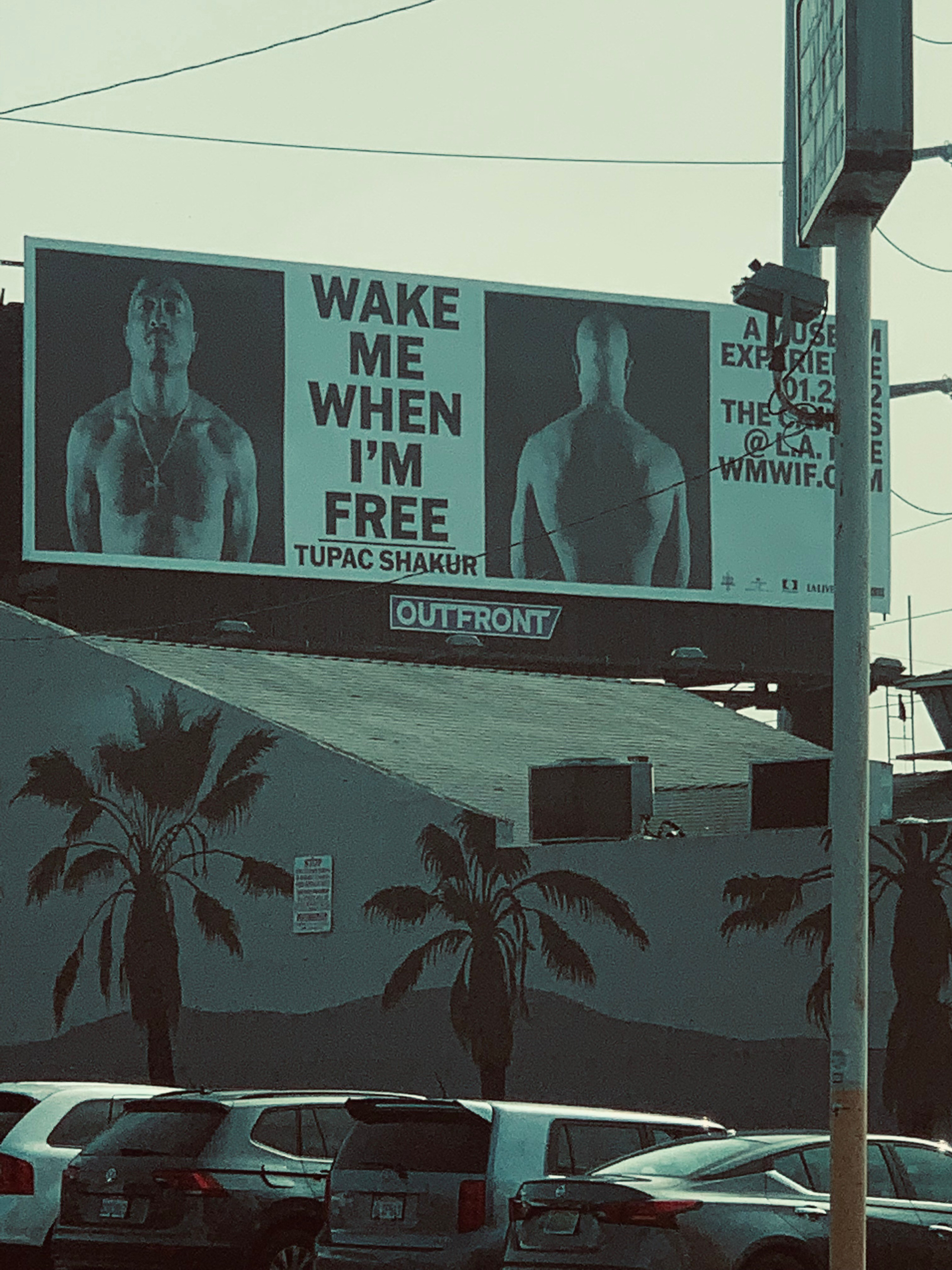 Lens Work From the Field 2