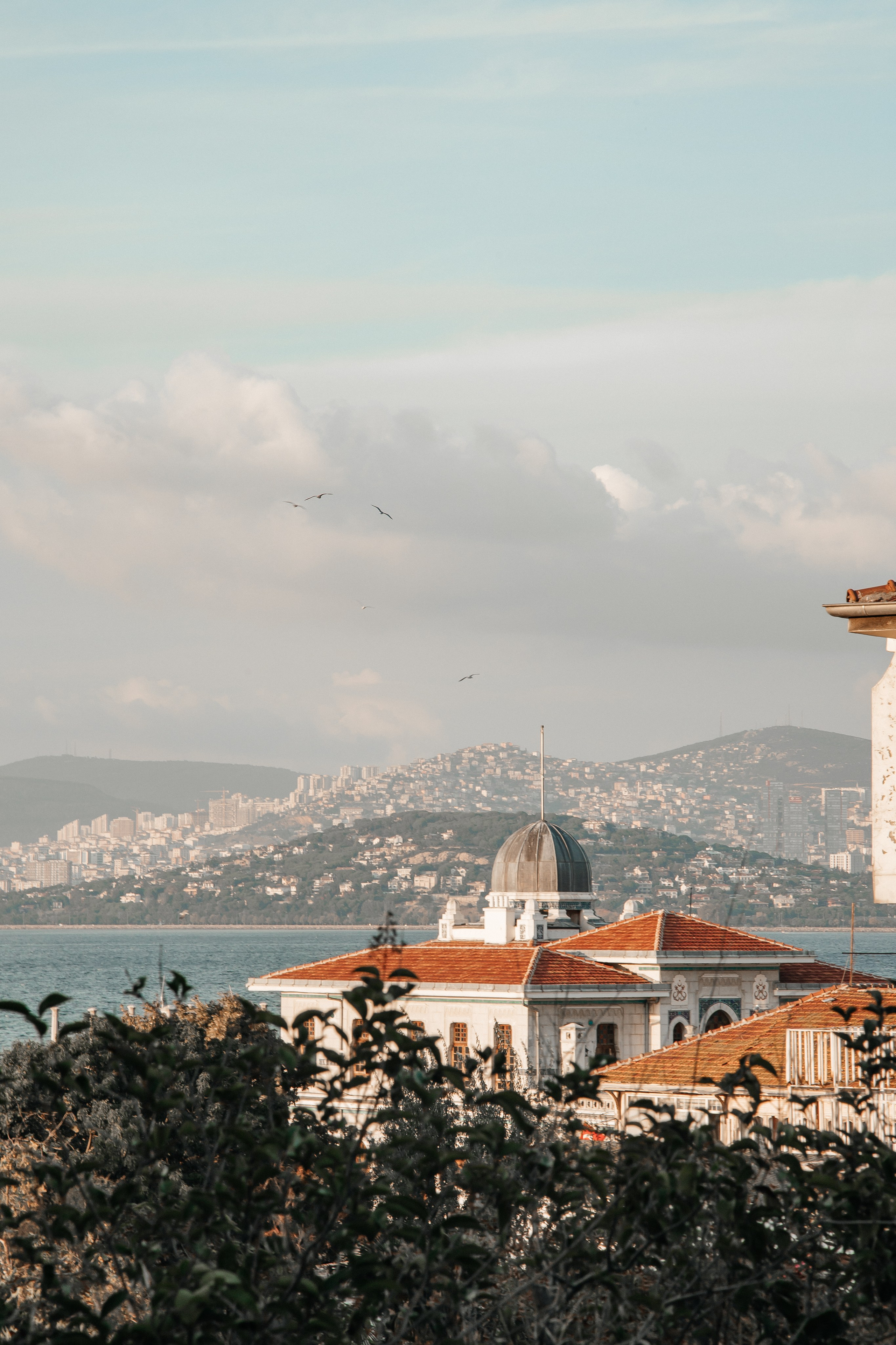 Sergey & Olga. Свадебный фотограф в Бишкеке