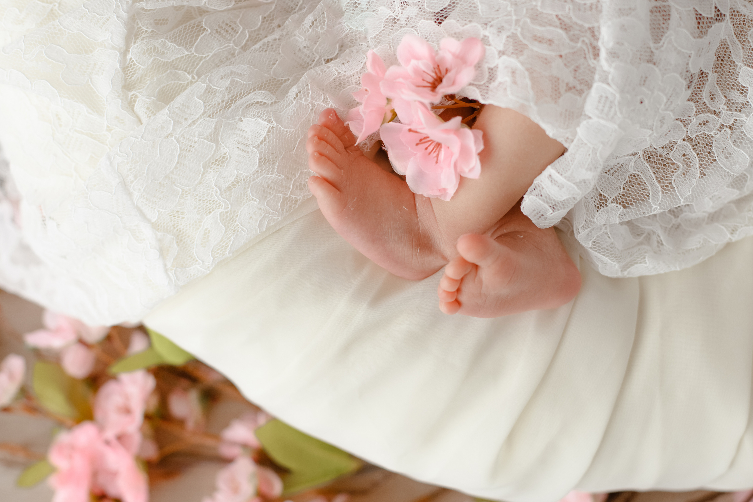 Neugeborene. Elena Osadcij Photography Lohmar NRW