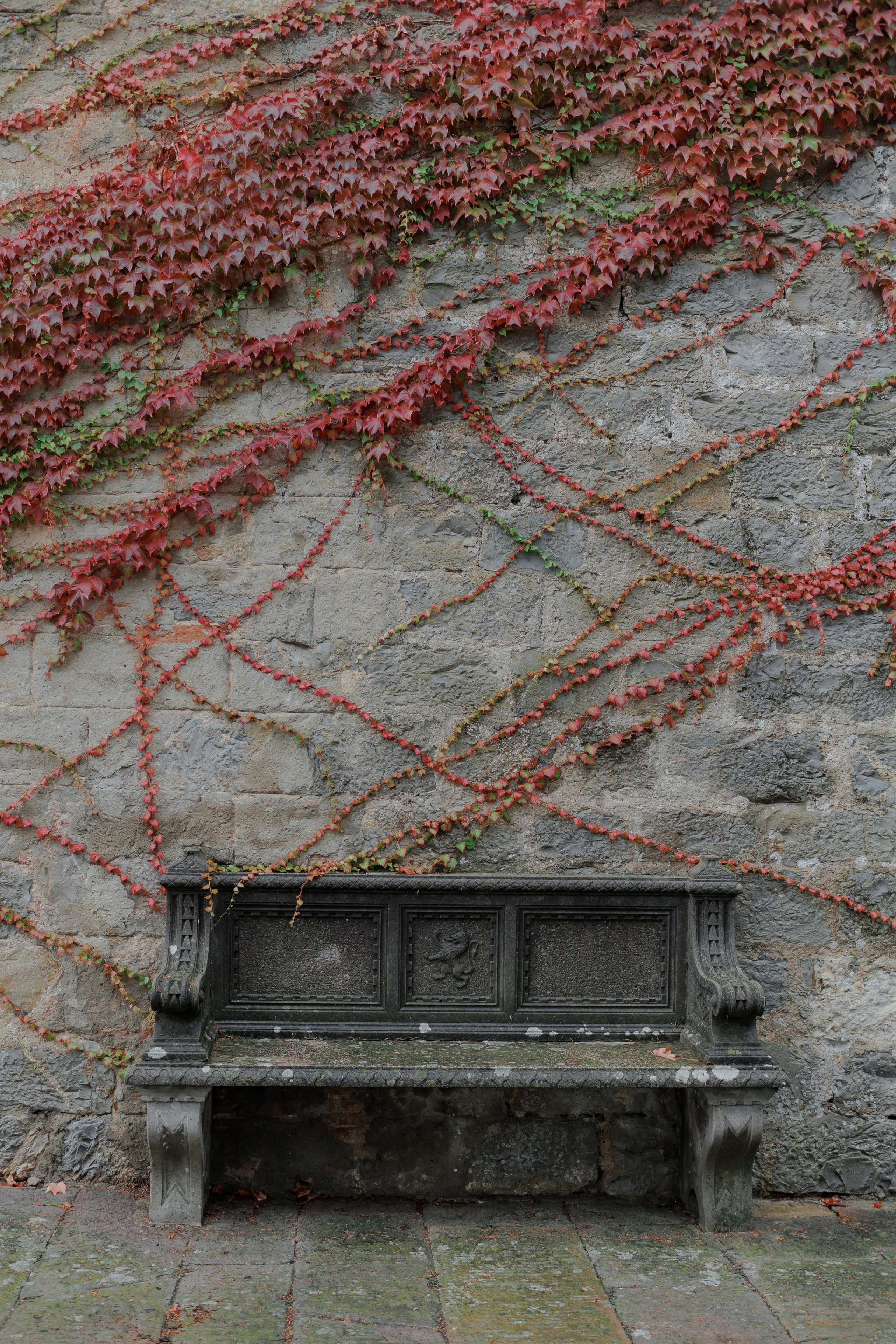 Ekateryna&David wedding in Tuscany. Весільний фотограф Вікторія Саврук