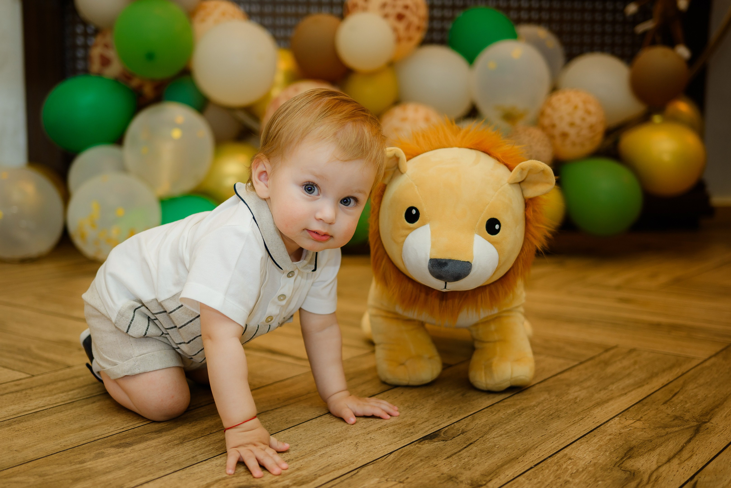 Fotograf mot, turta si aniversari Bucuresti | Daria Kids Photo