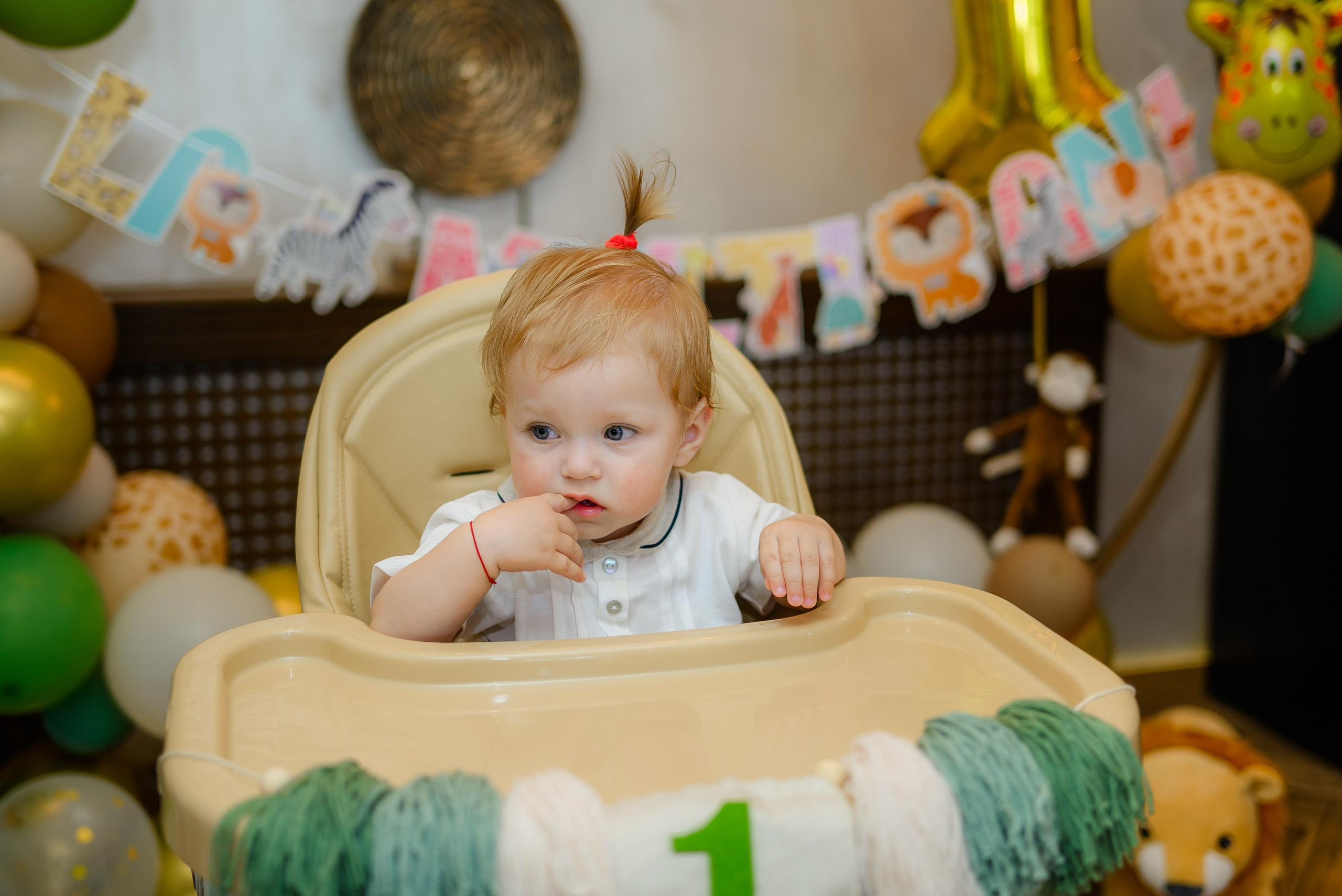 Fotograf mot, turta si aniversari Bucuresti | Daria Kids Photo