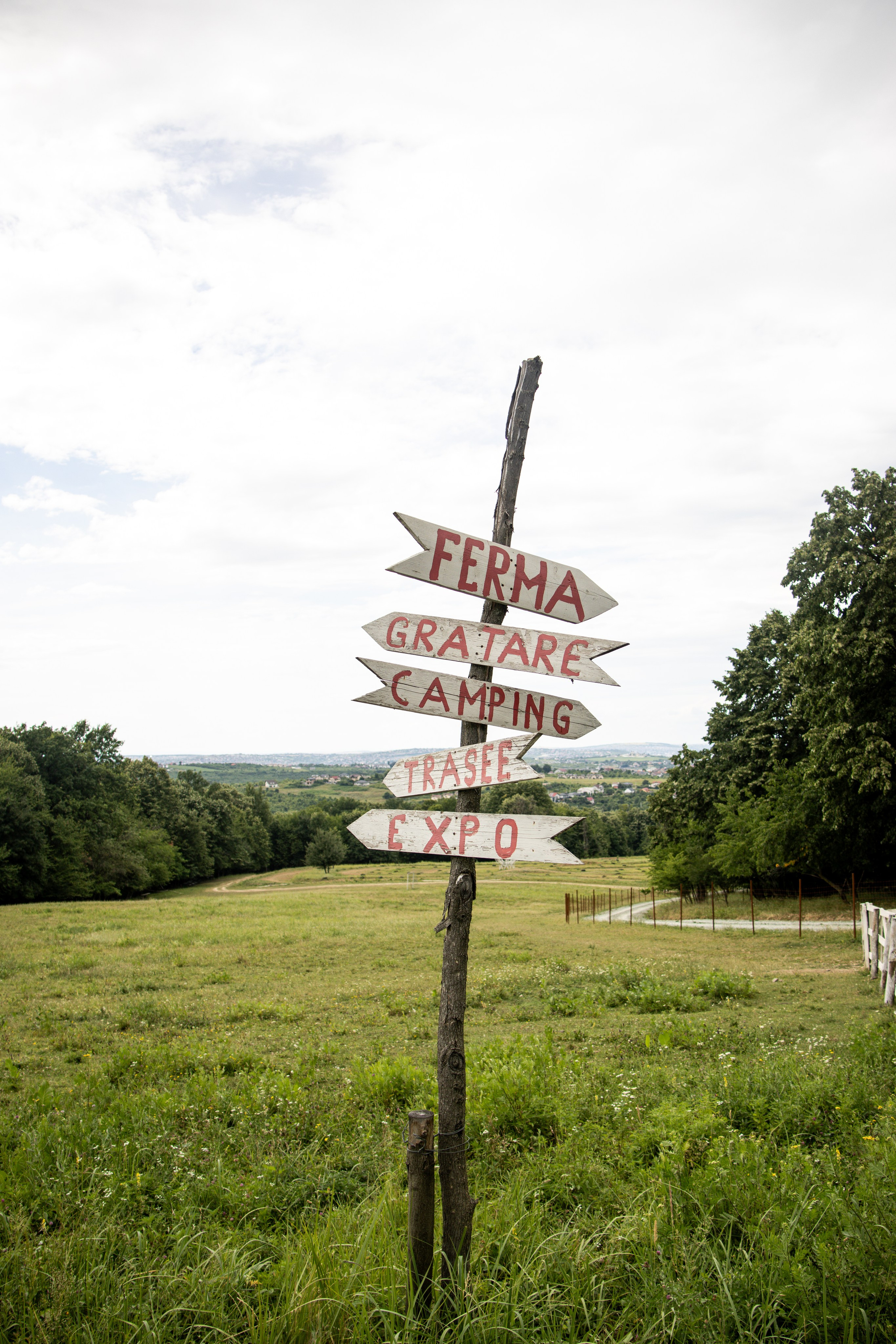 Family Session — Farm with Ponies