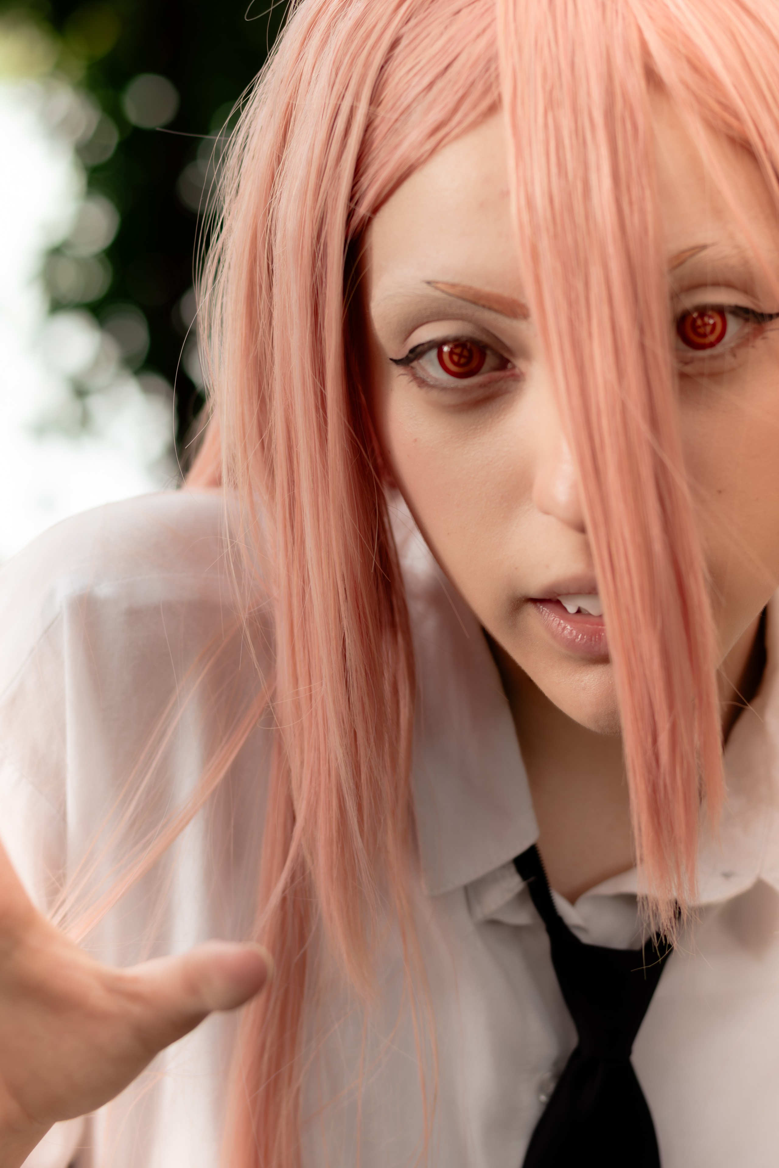 Elton Tozatto Fotografia