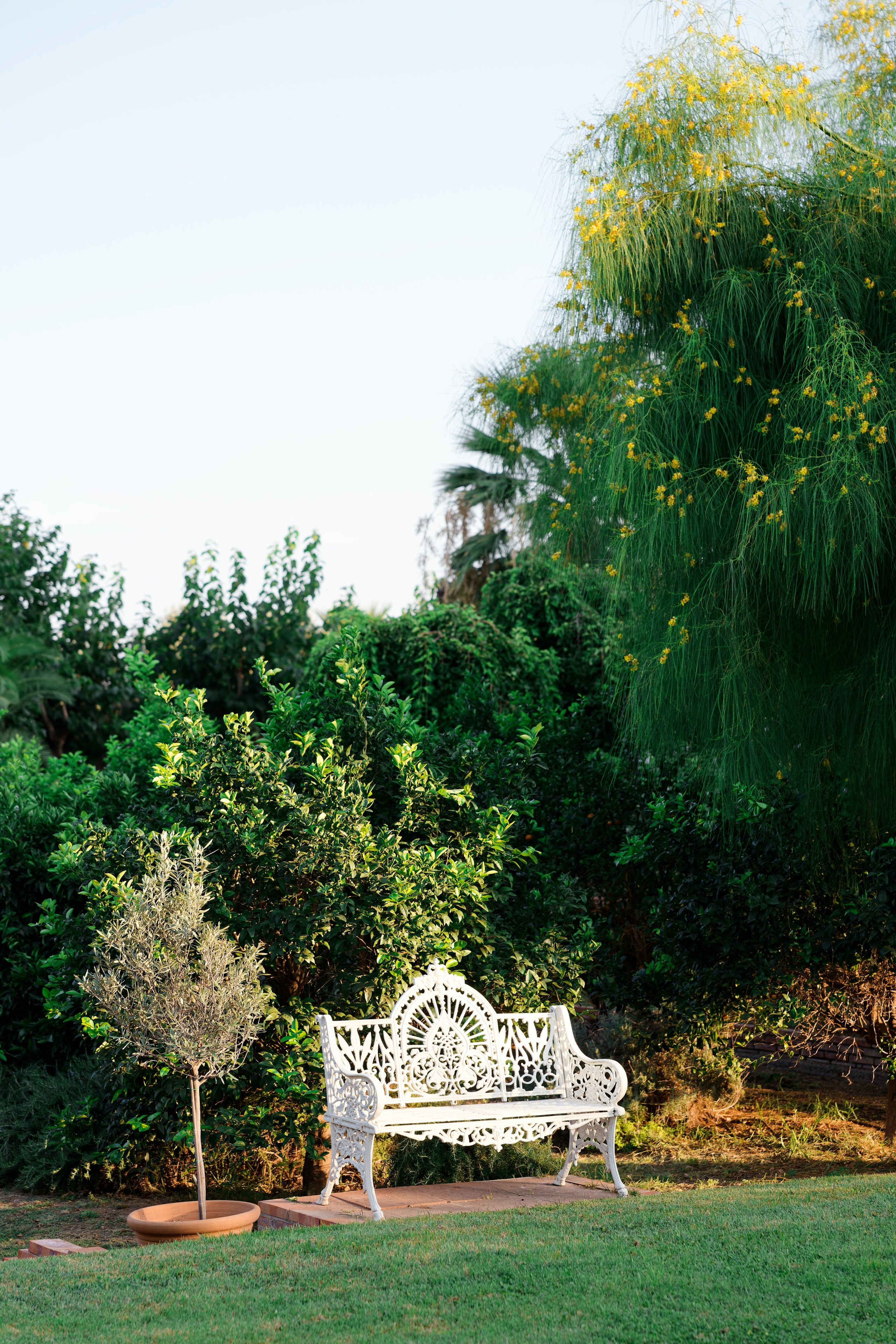 Haldi Ceremony & Mehndi Night & pre-wedding dinner, Barcelona