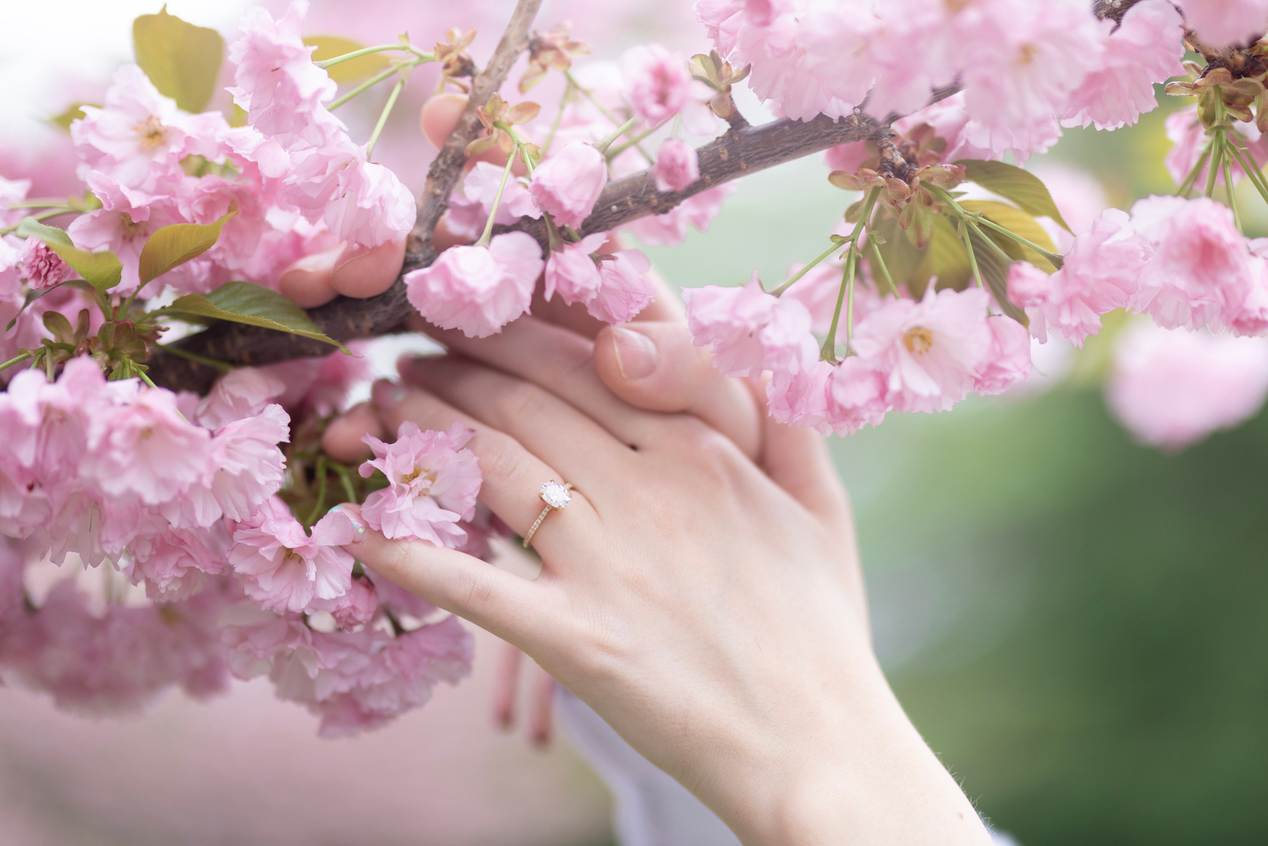 Engagement. Wedding and Event photography, Kisses + Veil