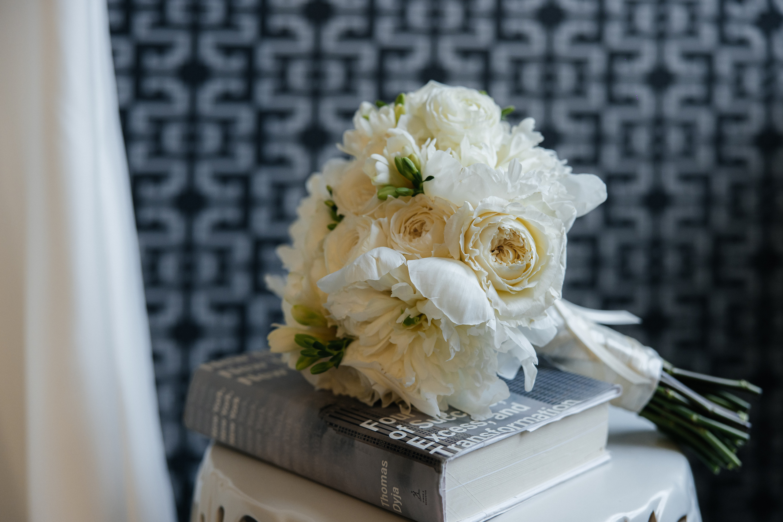 Marlene and Michael. Wedding and Event photography, Kisses + Veil