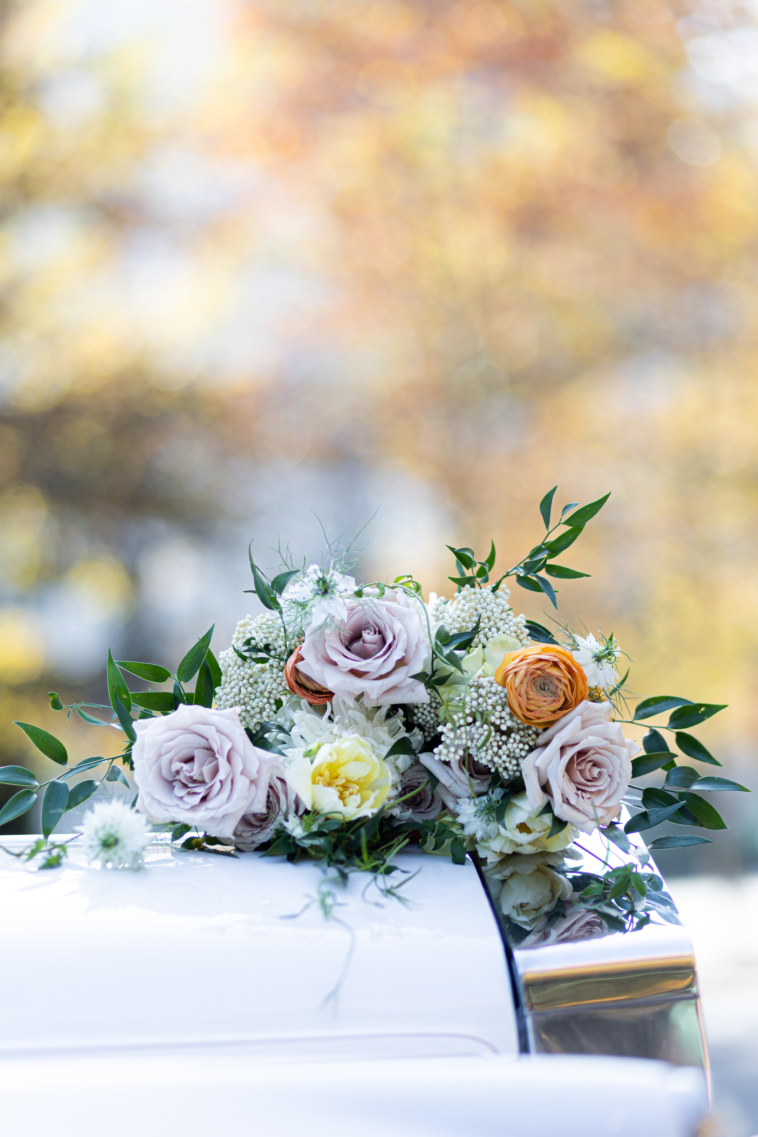 Renata and Tuckcer Des. Wedding and Event photography, Kisses + Veil