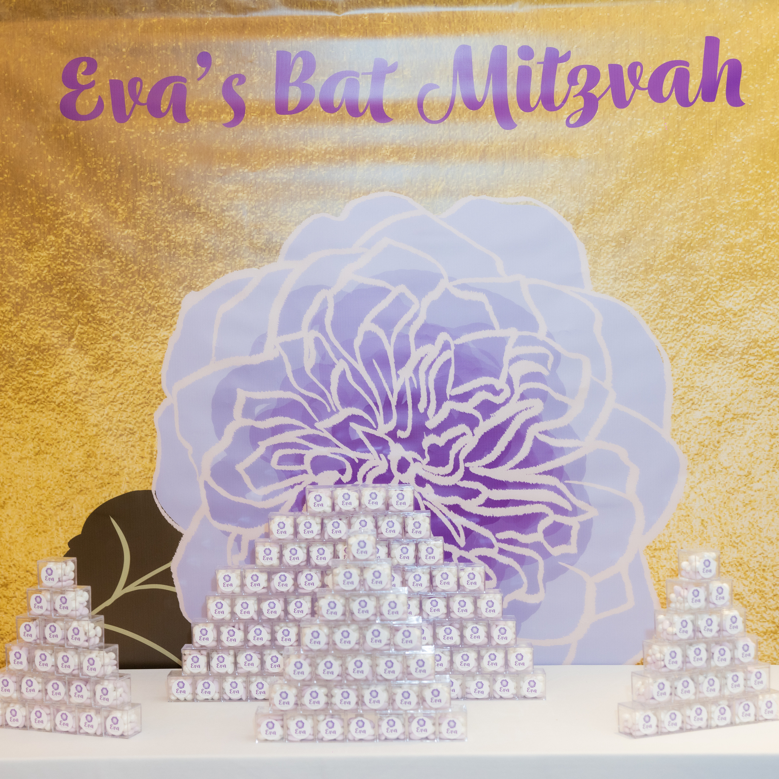 Bar | Bat Mitzvah. Wedding and Event photography, Kisses + Veil