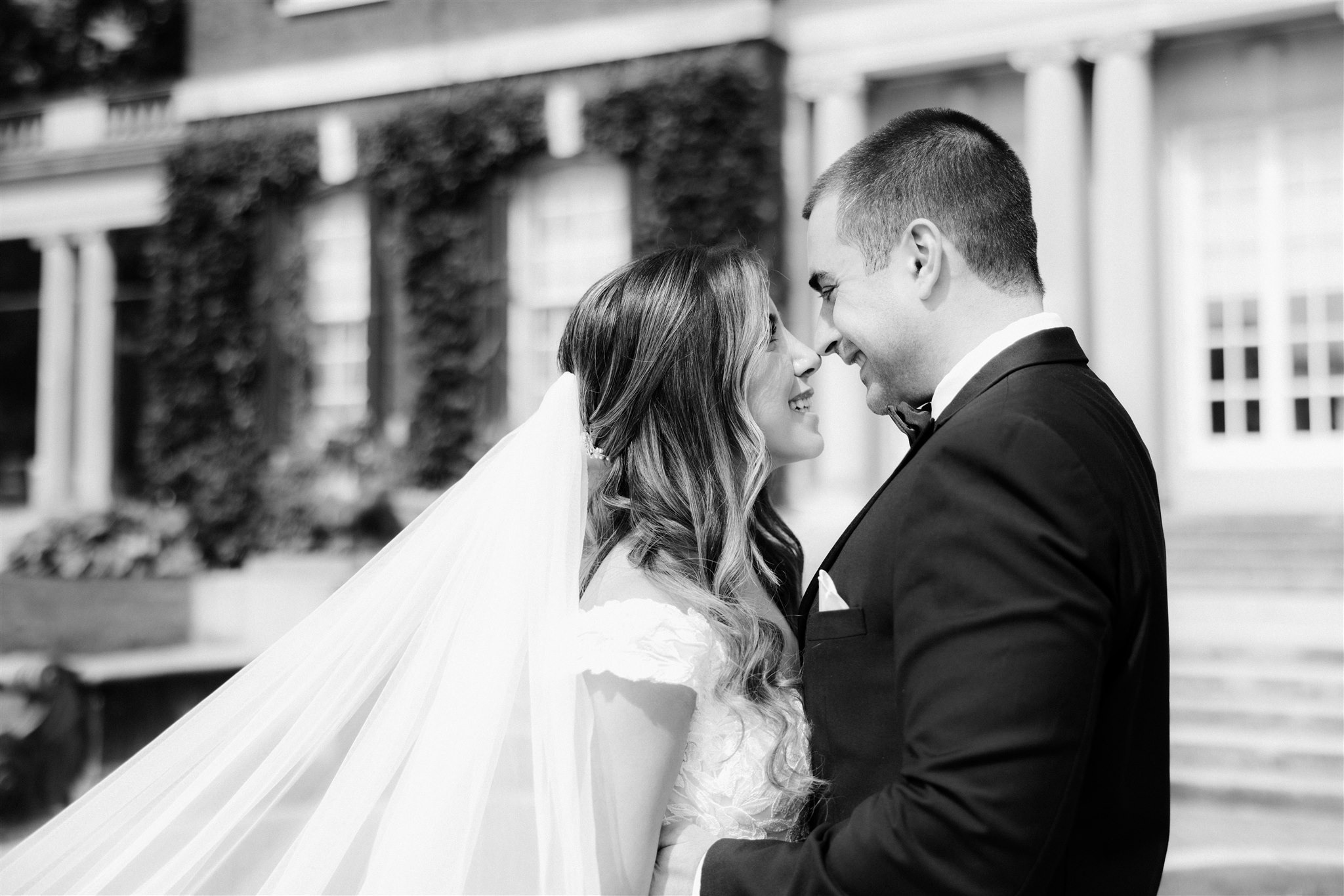 Sepideh and Greg. Wedding and Event photography, Kisses + Veil