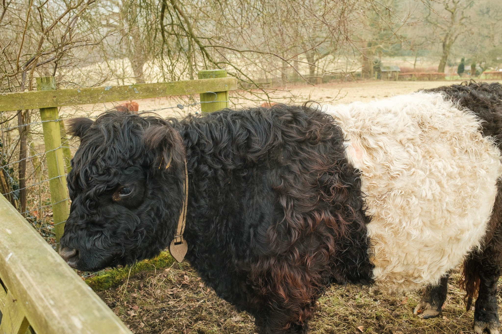 Peak District 2024. Cal Takes Photos