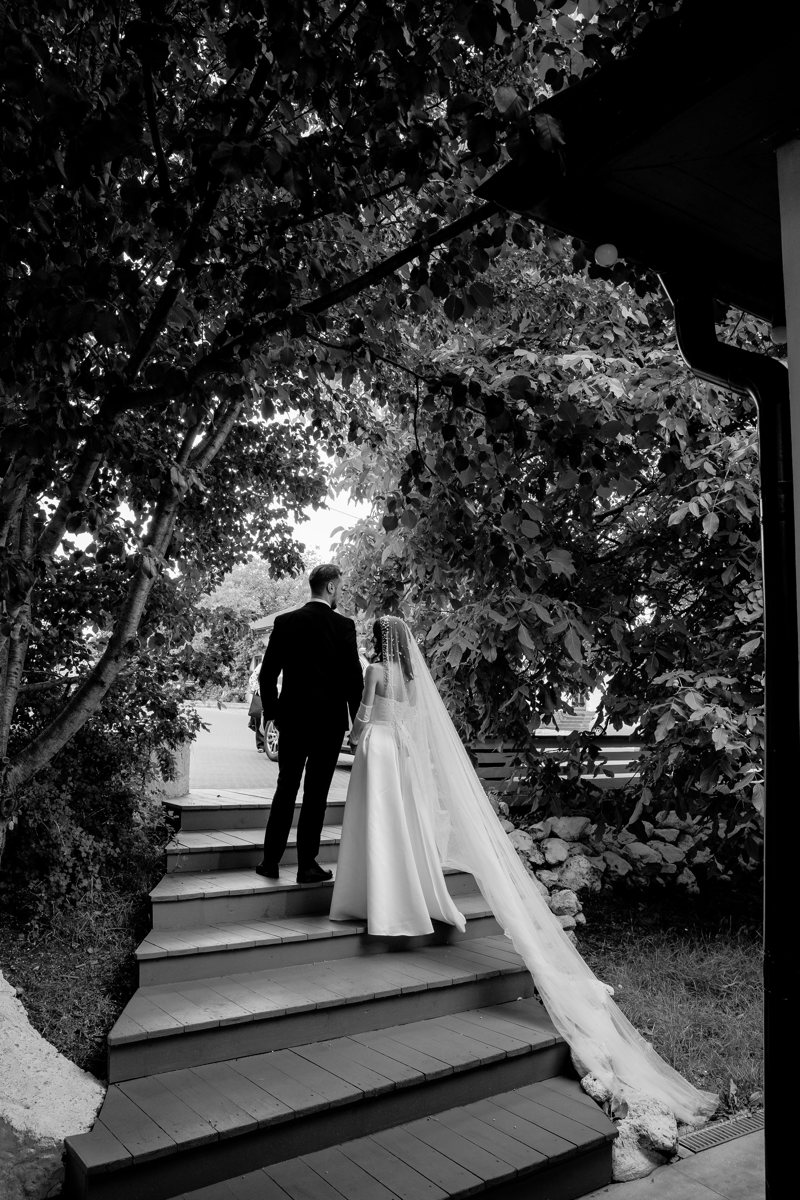 Tudor & Alexandrina. Servicii Foto/Video