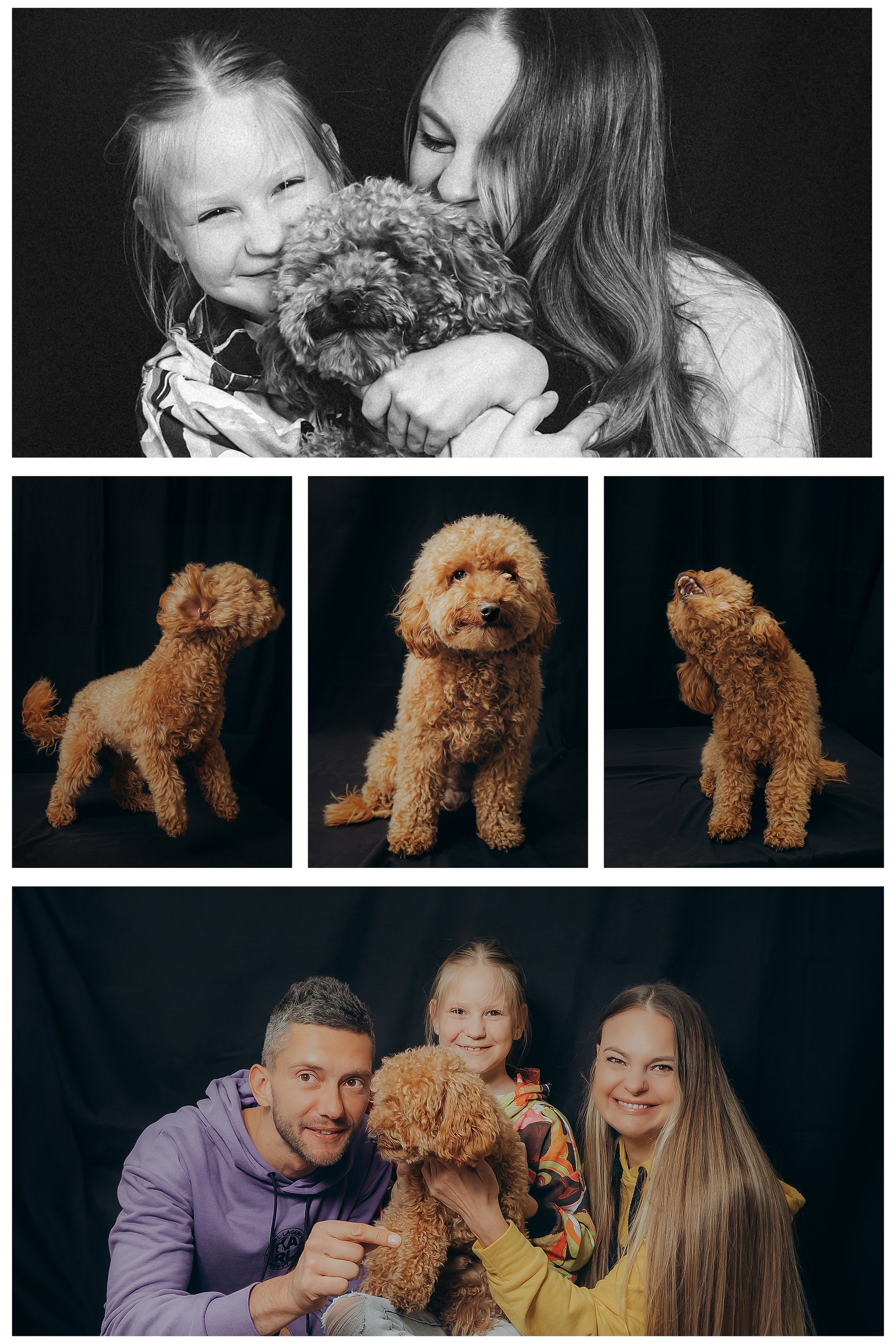 TOLOKA. Портрет за донат. Валерія Сичова. Сімейний та репортажний фотограф в Португаліі