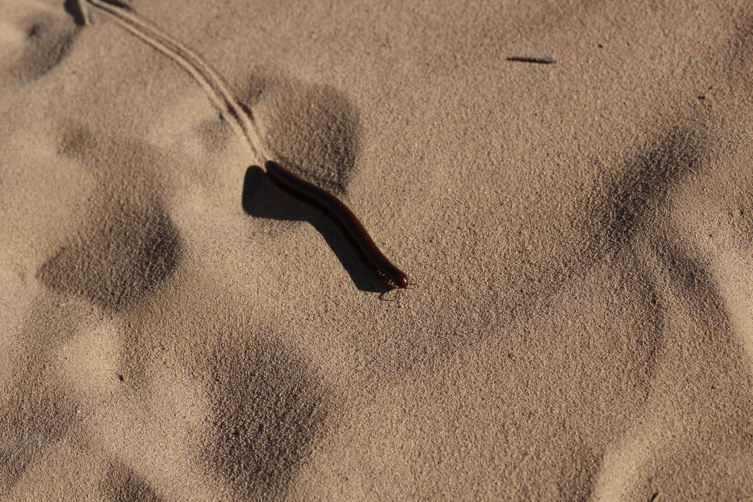 Нью Мексико. Olga Serebryannaya Travel Photography