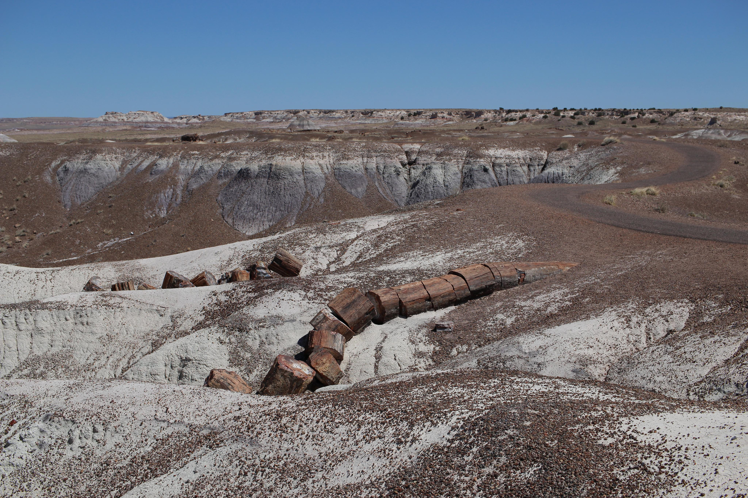 Нью Мексико. Olga Serebryannaya Travel Photography