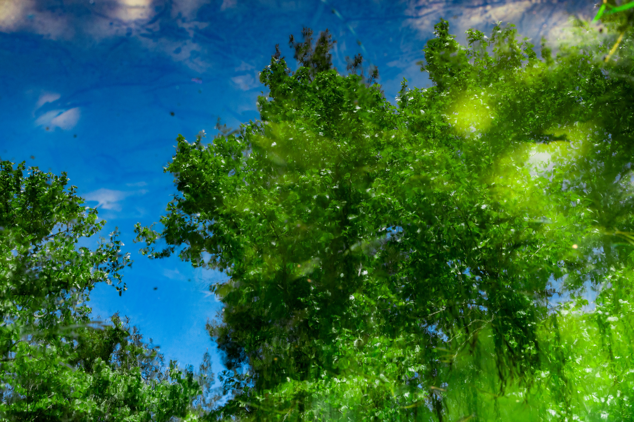 Турция. Olga Serebryannaya Travel Photography