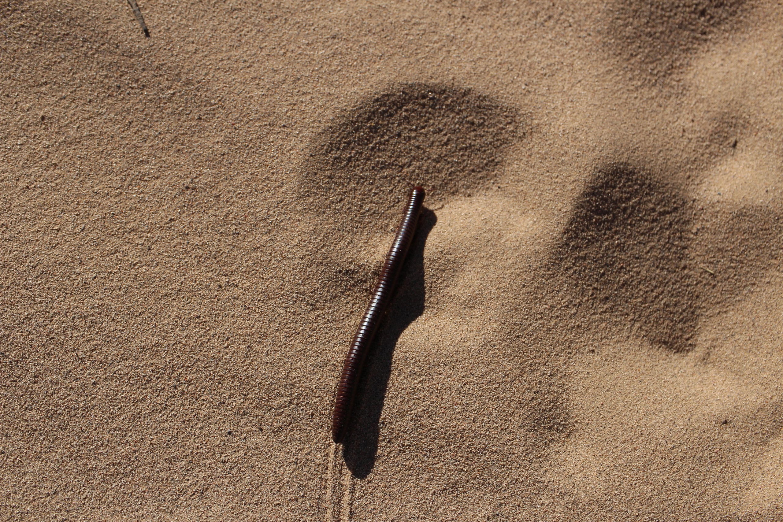 Нью Мексико. Olga Serebryannaya Travel Photography